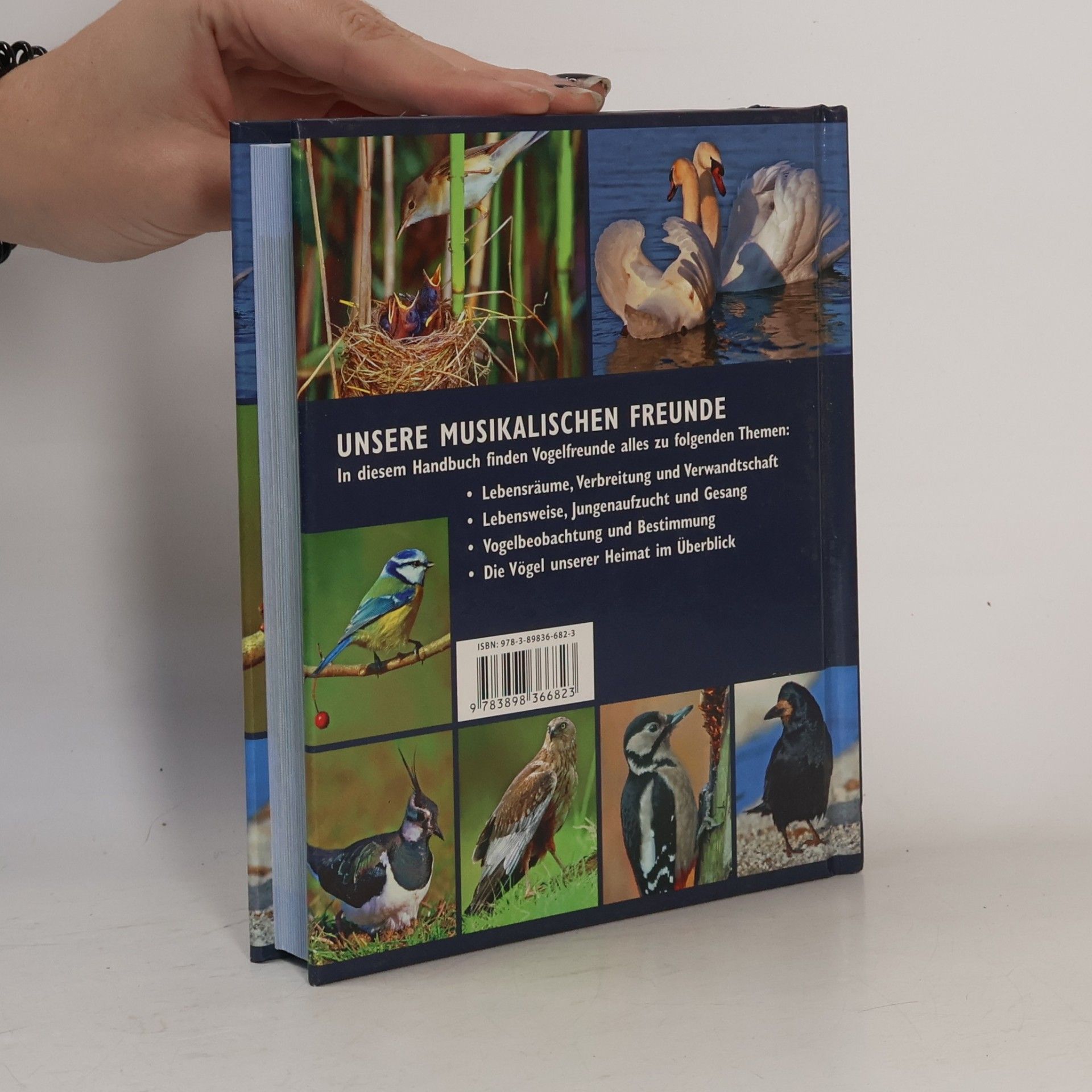 Handbuch Vögel - Lexikon der heimischen Vogelwelt: Lexikon der Vogelarten, Vogelbeobachtung, Lebensräume und Brut