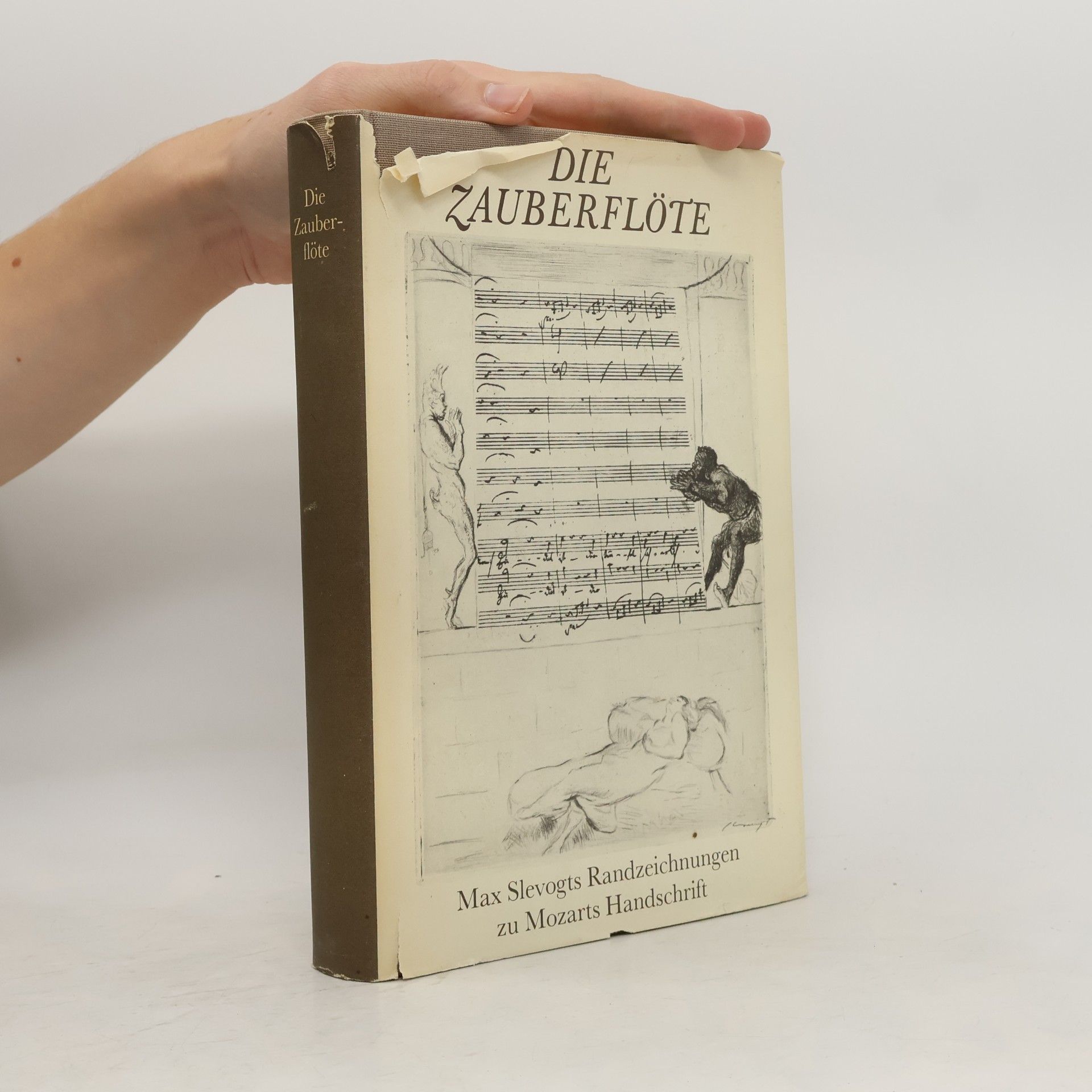 Kolektiv autorů Die Zauberflöte