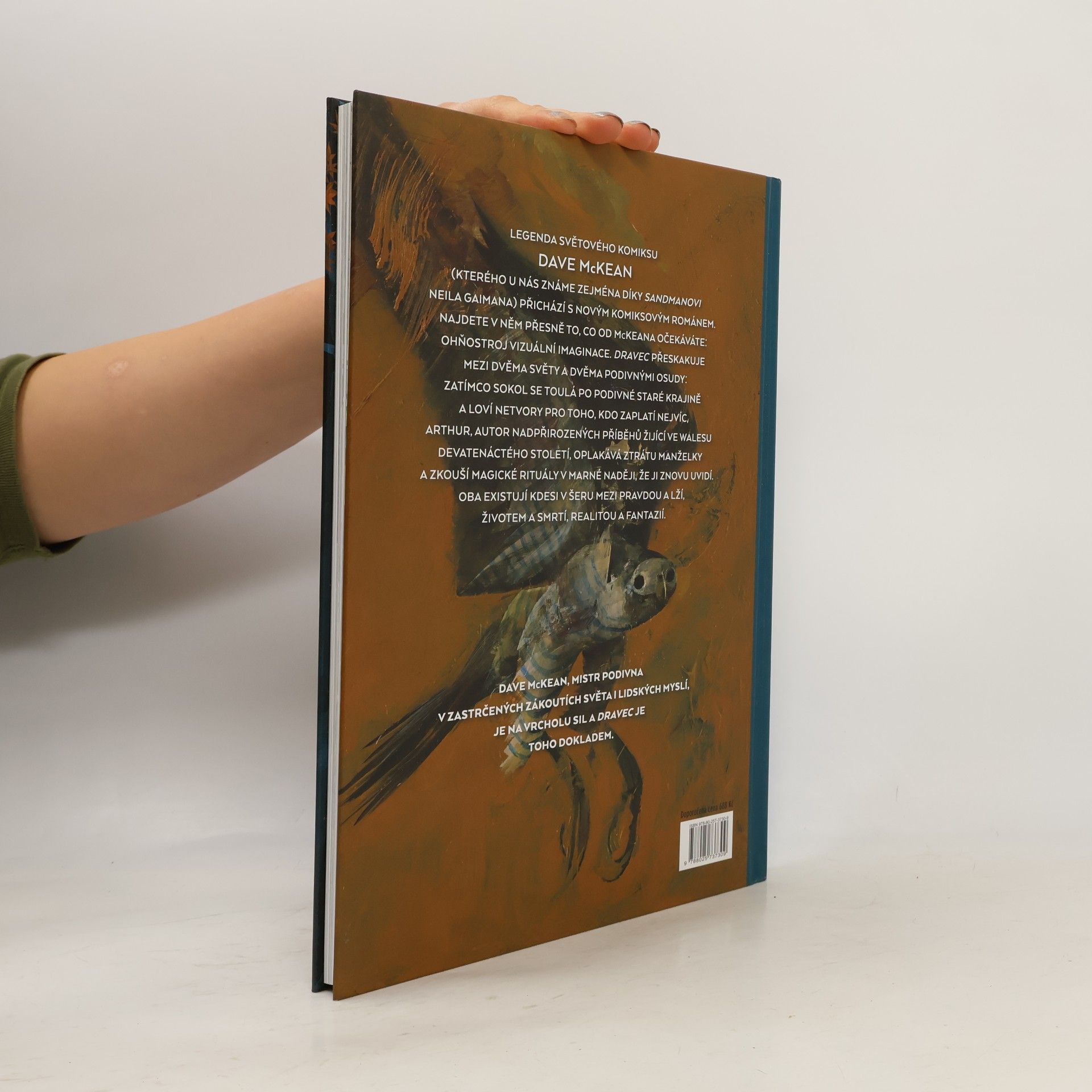 Dave McKean Dravec : Komiksový román o sokolovi