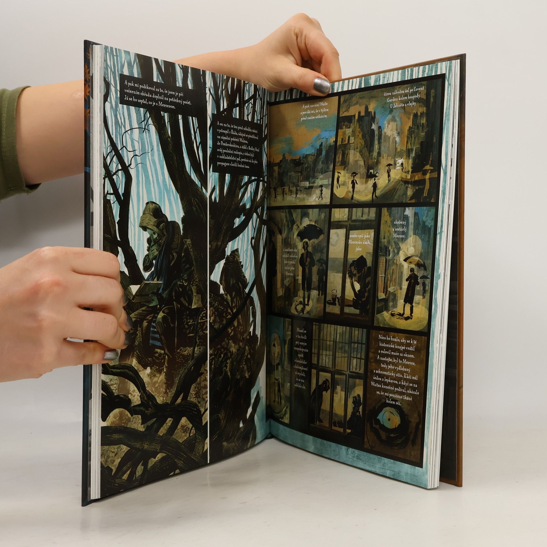 Dave McKean Dravec : Komiksový román o sokolovi