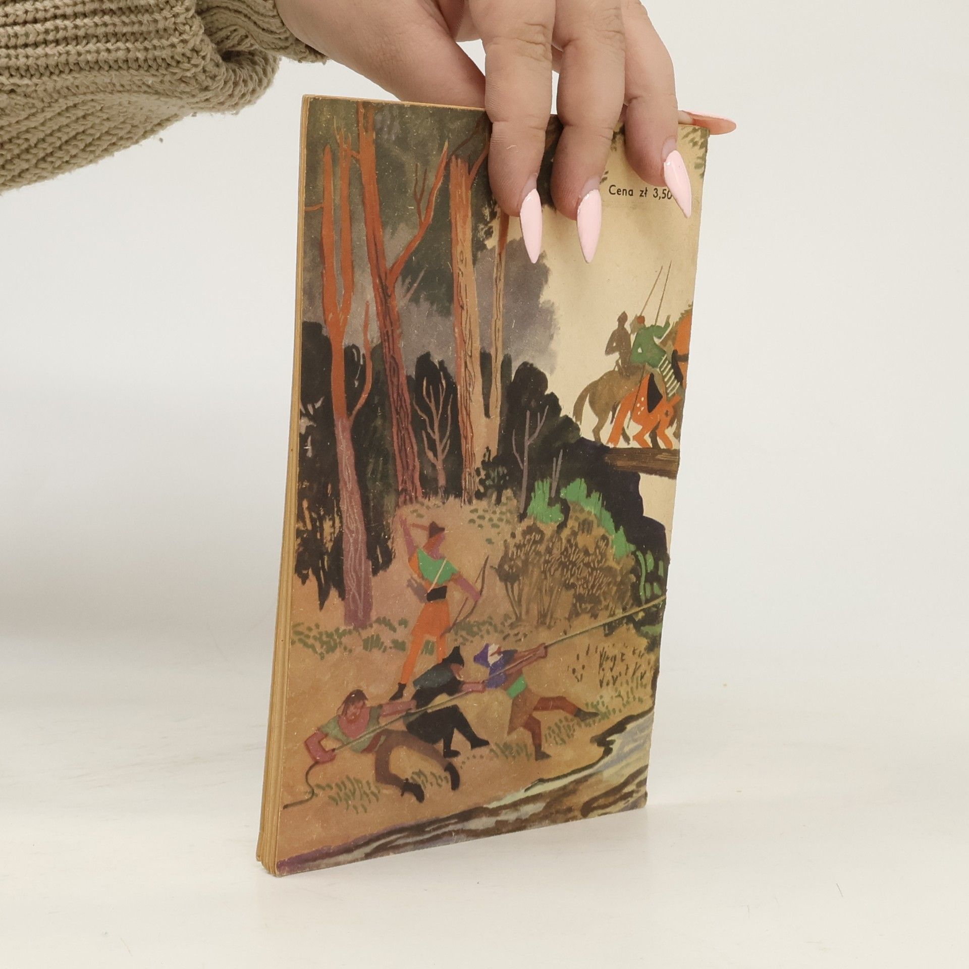 AA.VV. The Adventures of Robin Hood. The Ambush