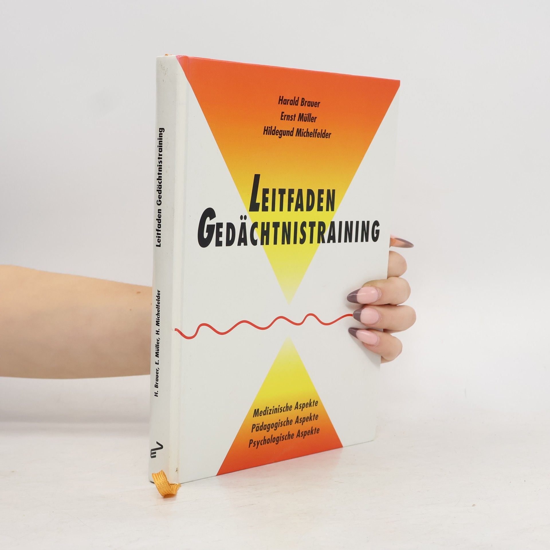 Harald Brauer Leitfaden Gedächtnistraining