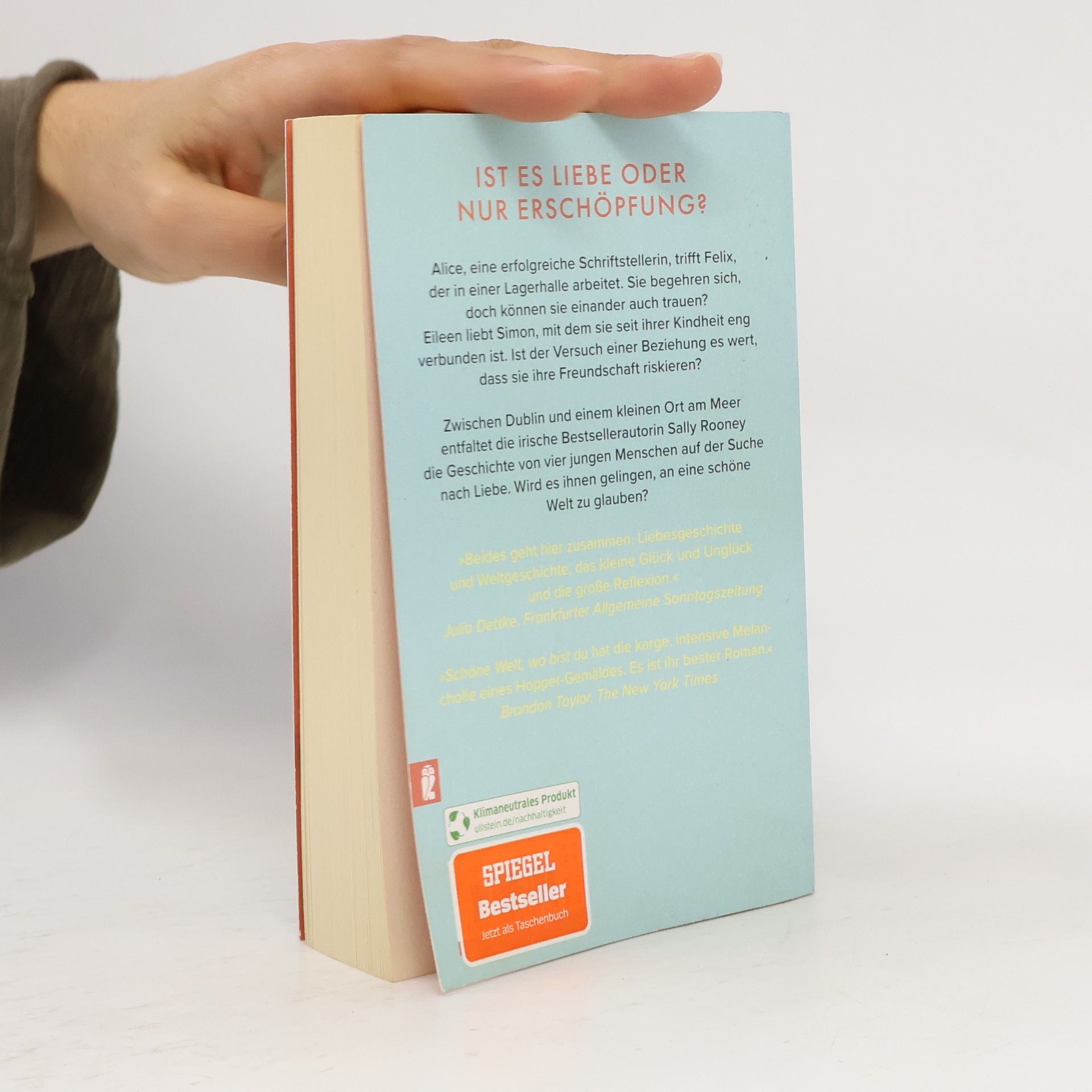 Sally Rooney Schöne Welt, wo bist du