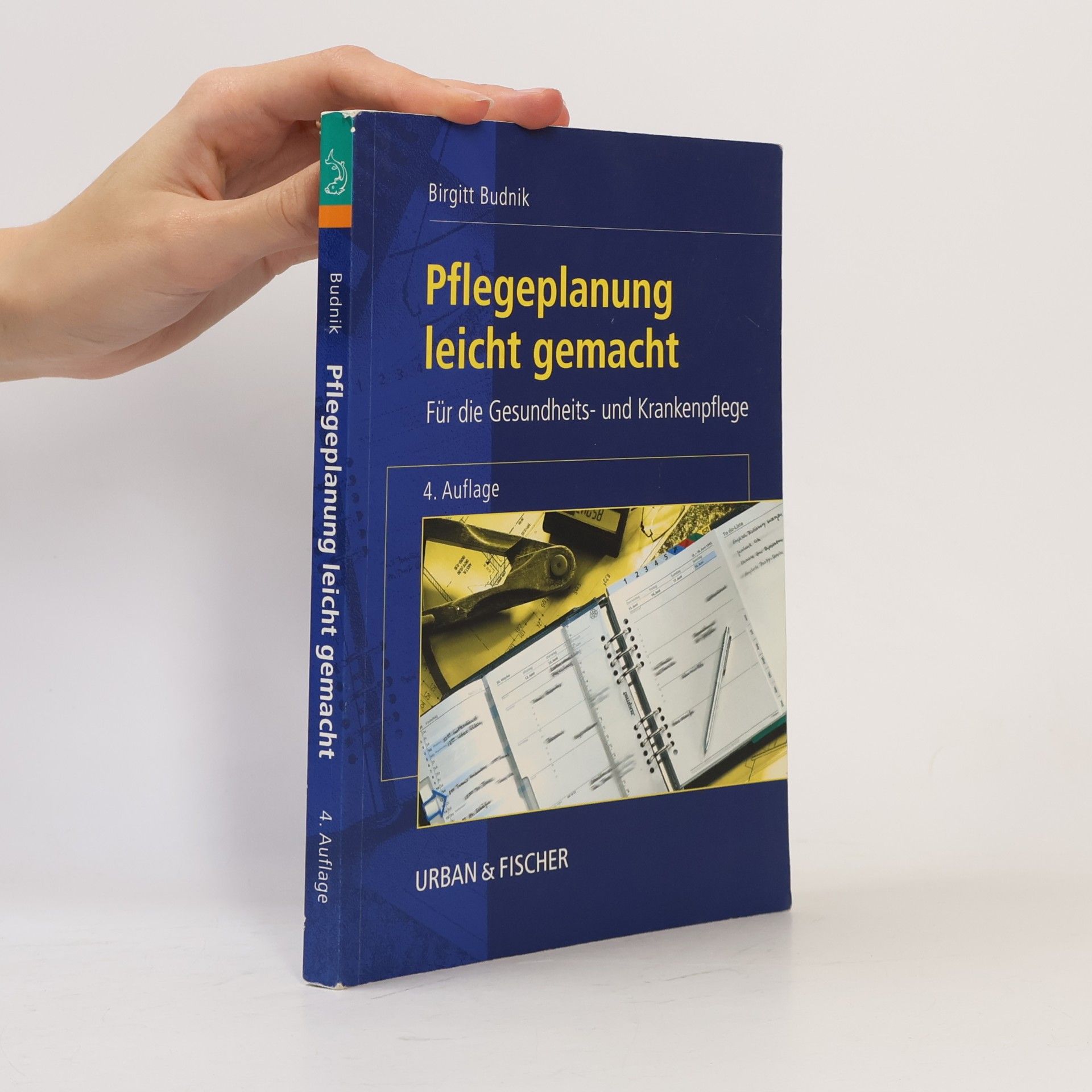 Birgitt Budnik Pflegeplanung leicht gemacht