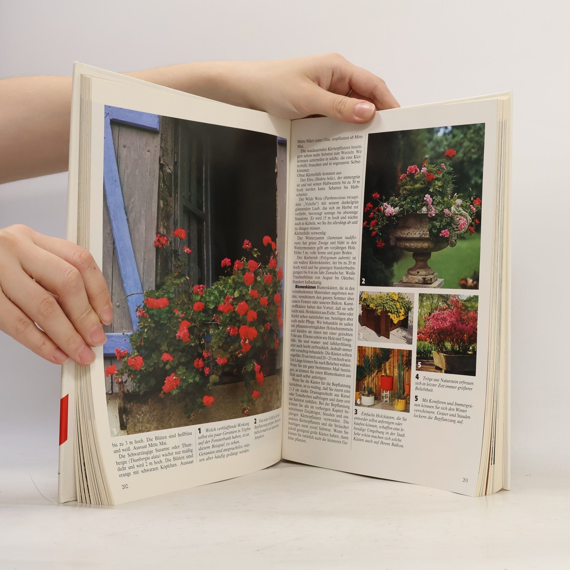 Kolektiv autorů Das grosse Buch vom Garten