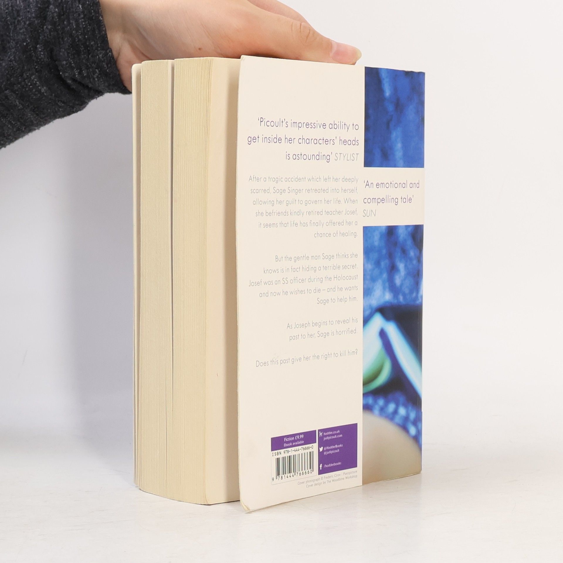 Jodi Picoult The storyteller