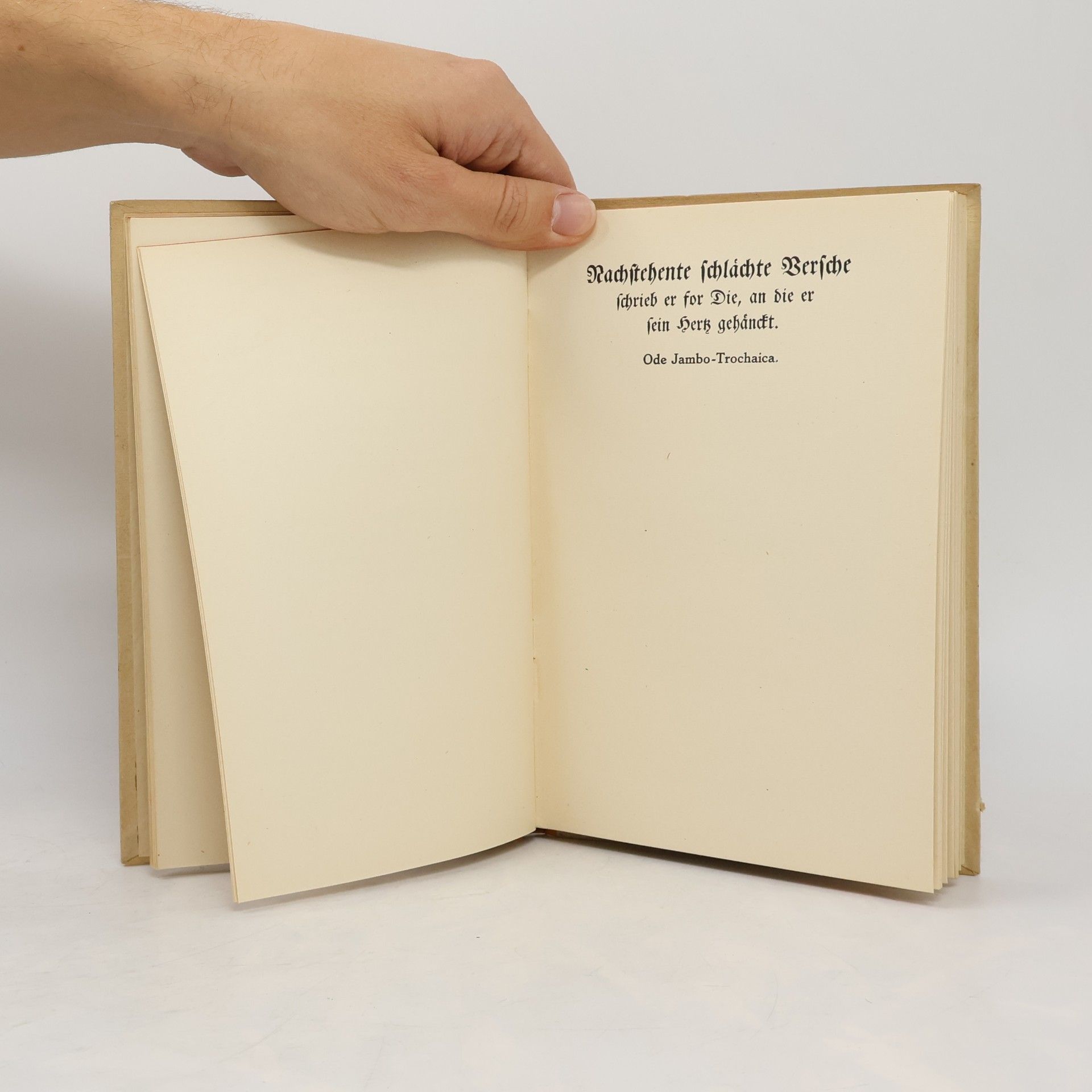 Arno Holz Neue Dafnis-Lieder