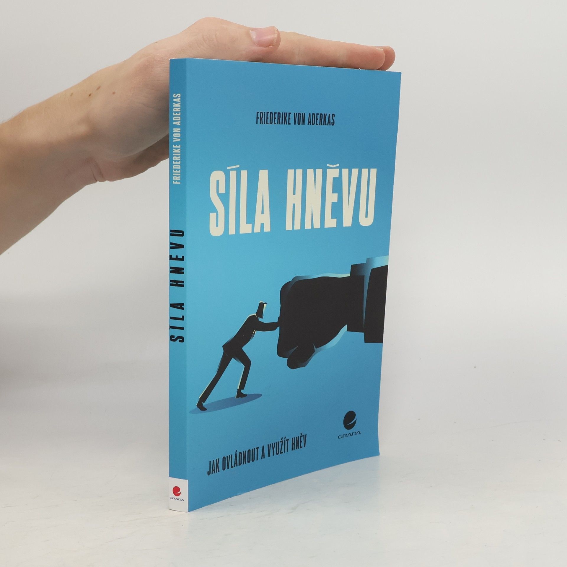 Sylvia Gredig Síla hněvu : jak ovládnout a využít hněv