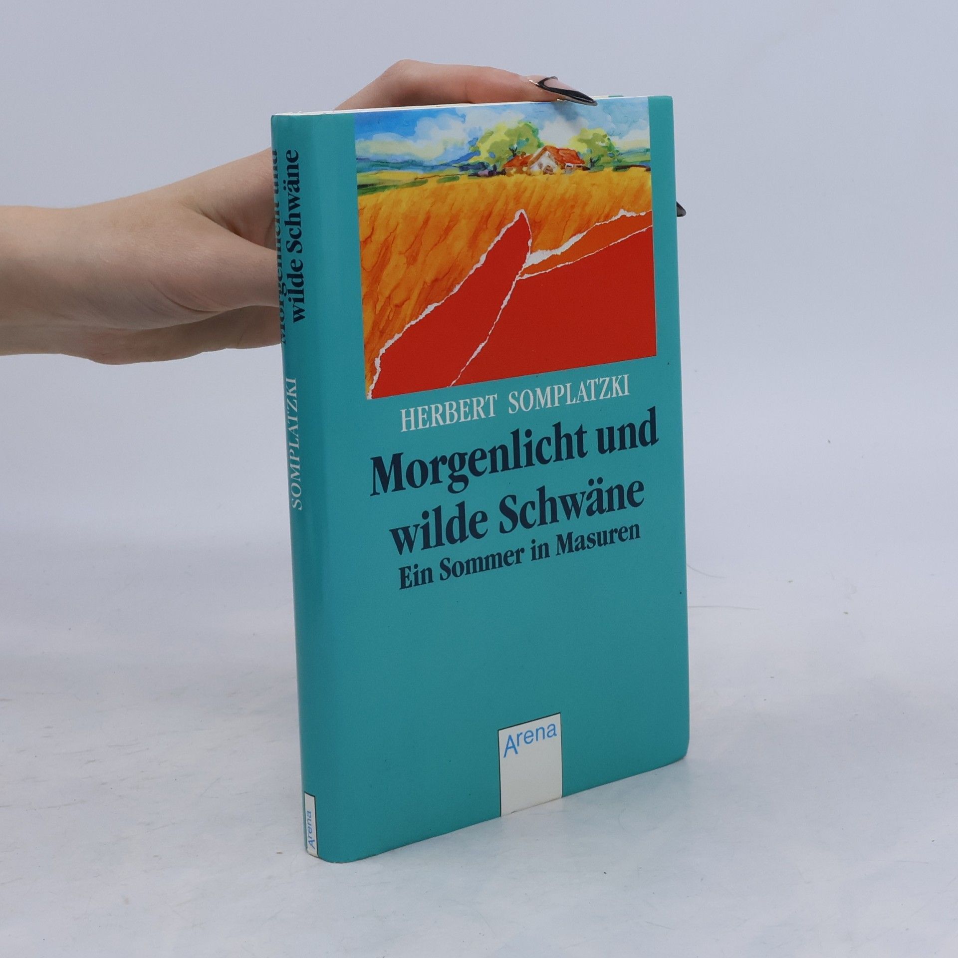 Herbert Somplatzki Morgenlicht und wilde Schwäne