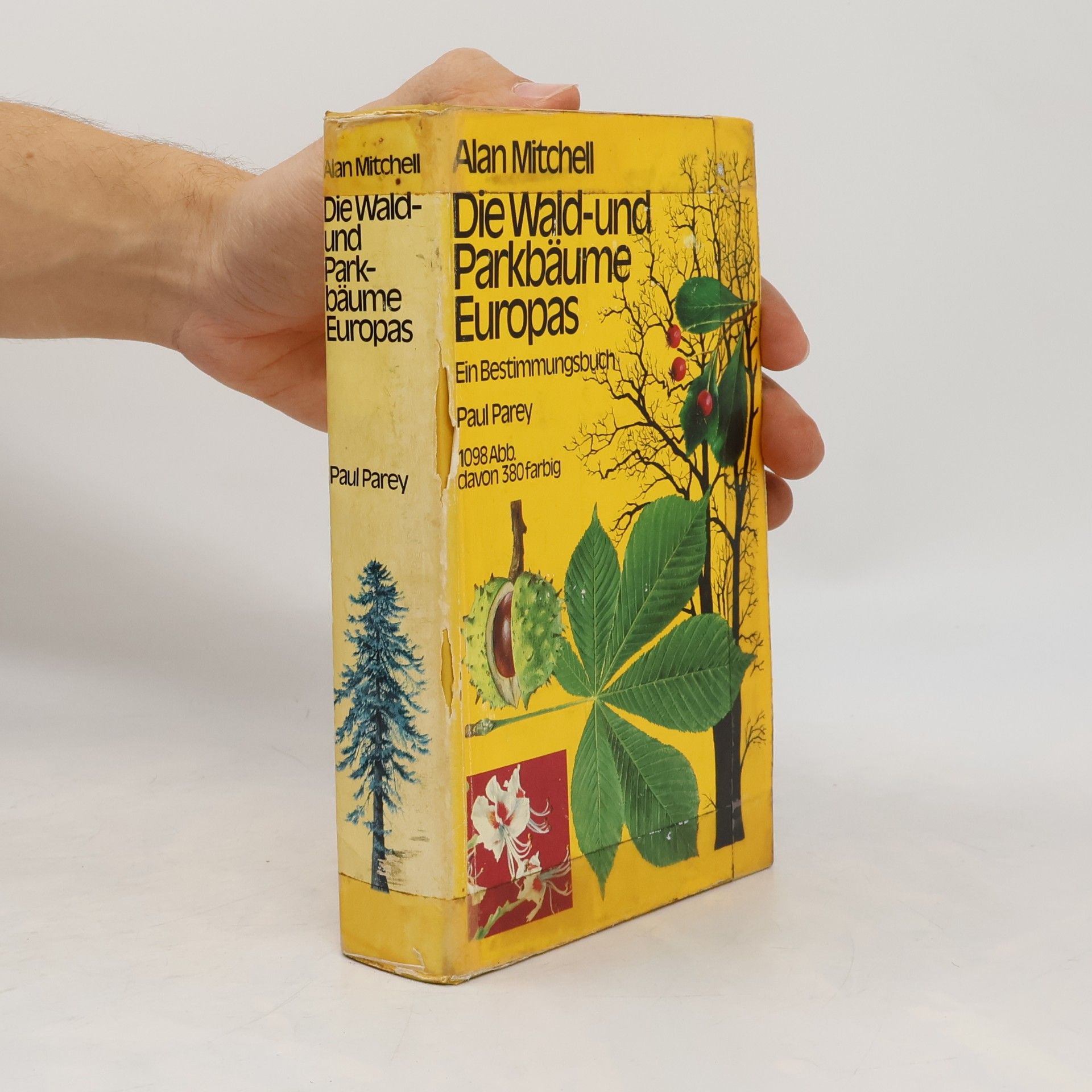 Die Wald- und Parkbäume Europas