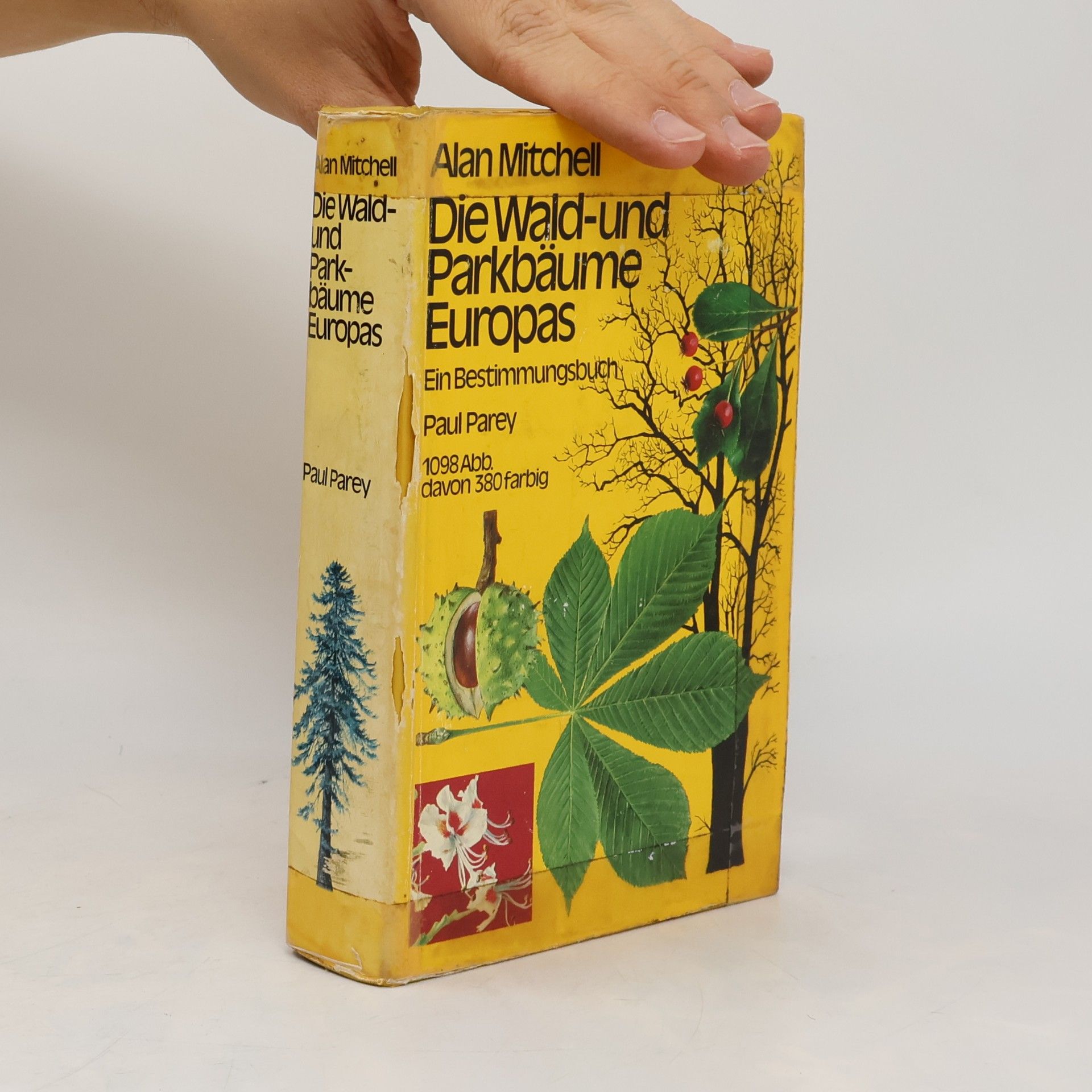 Alan F. Mitchell Die Wald- und Parkbäume Europas
