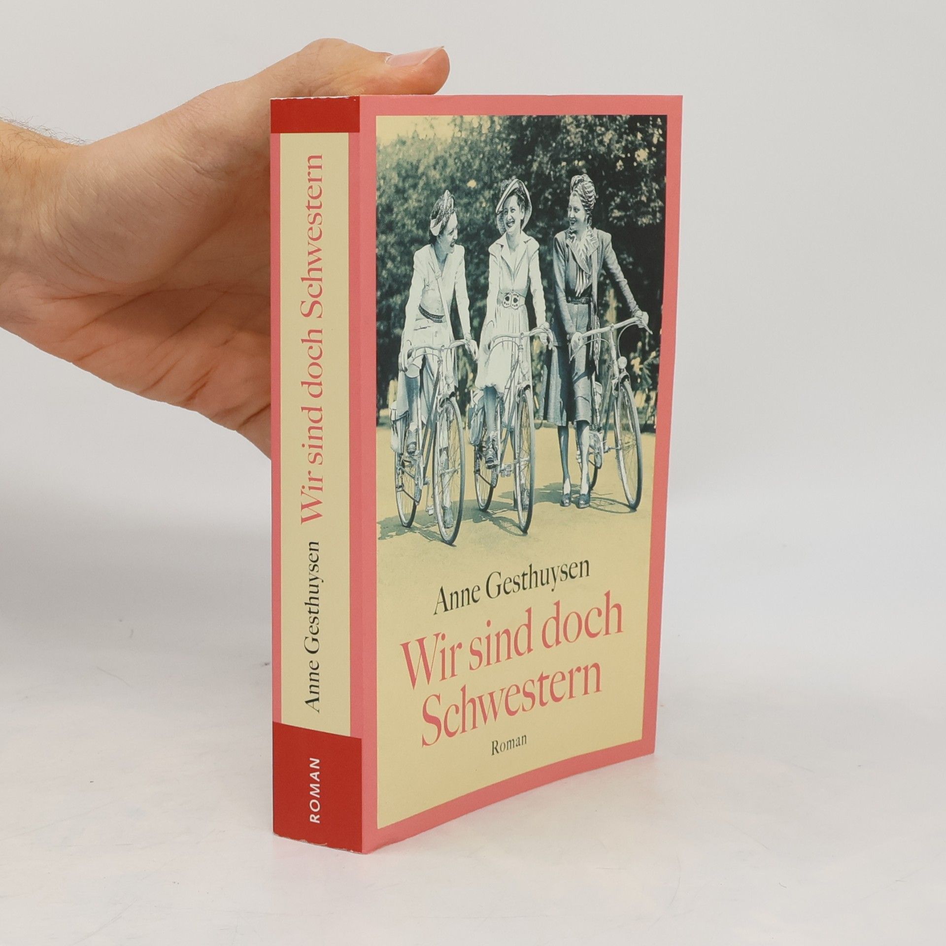 Anne Gesthuysen Wir sind doch Schwestern