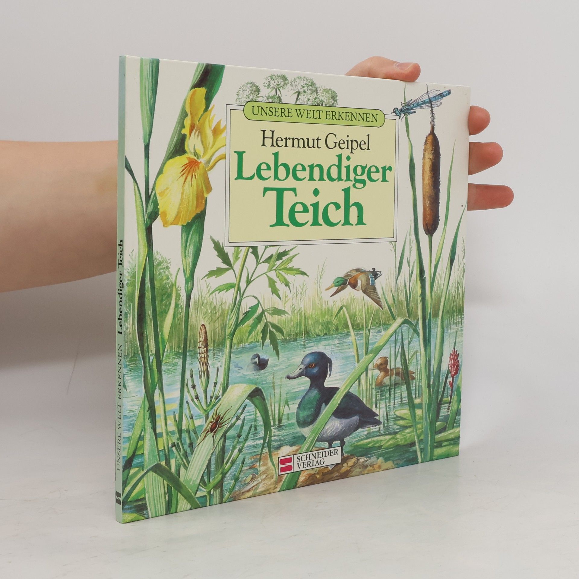 Unsere Welt erkennen: Lebendiger Teich