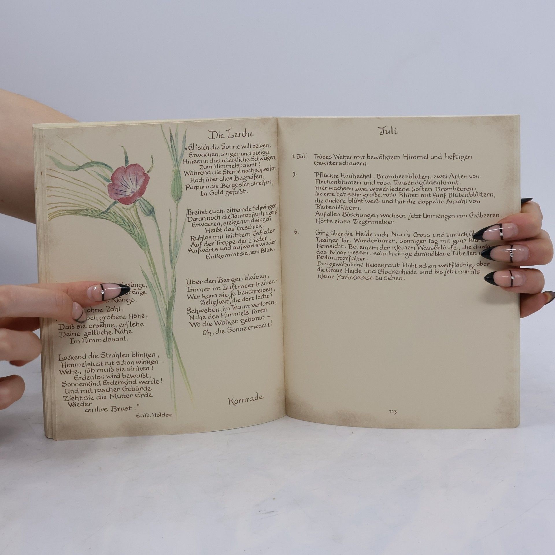 Edith Holden Die schöne Stimme der Natur