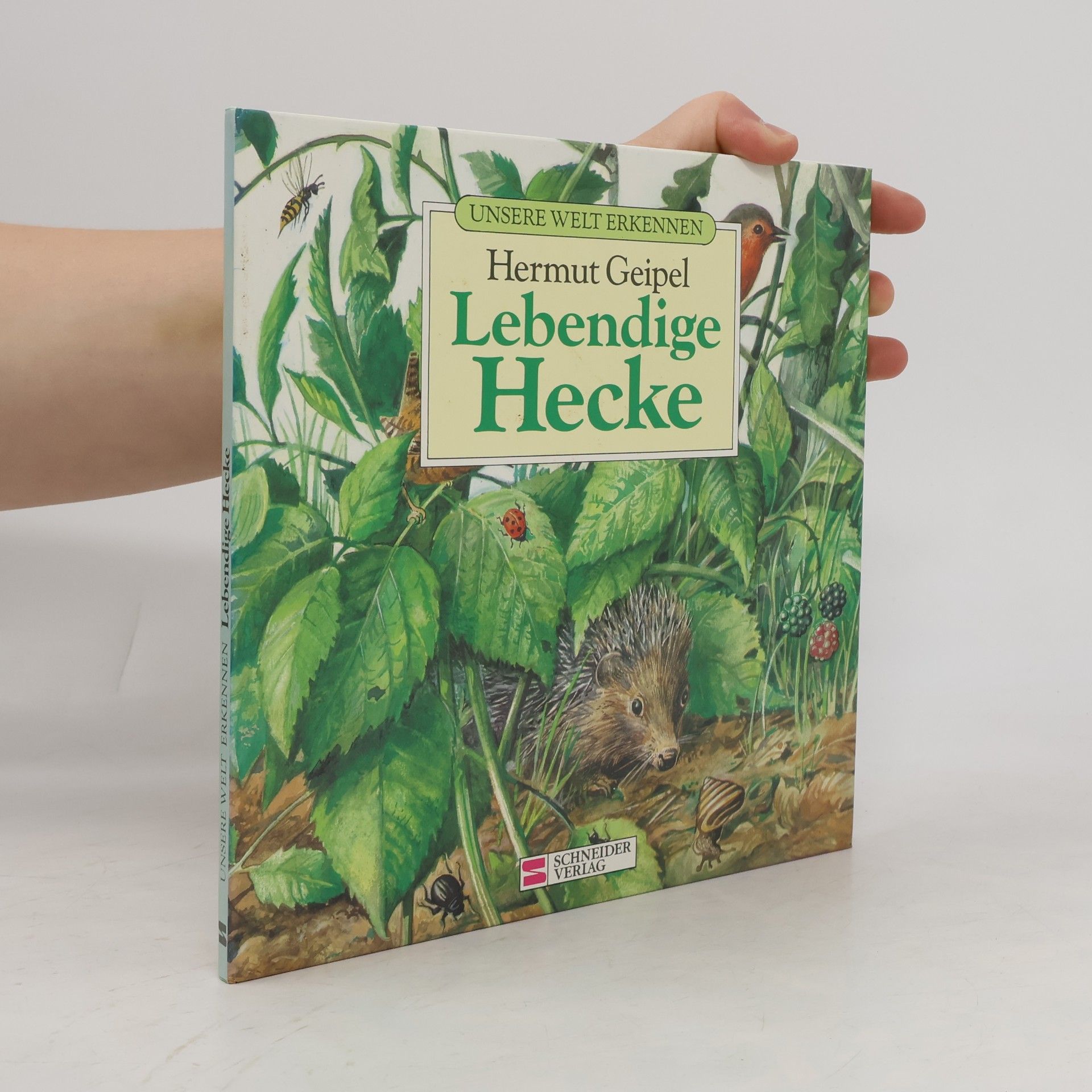 Hermut K. Geipel Unsere Welt erkennen / Lebendige Hecke