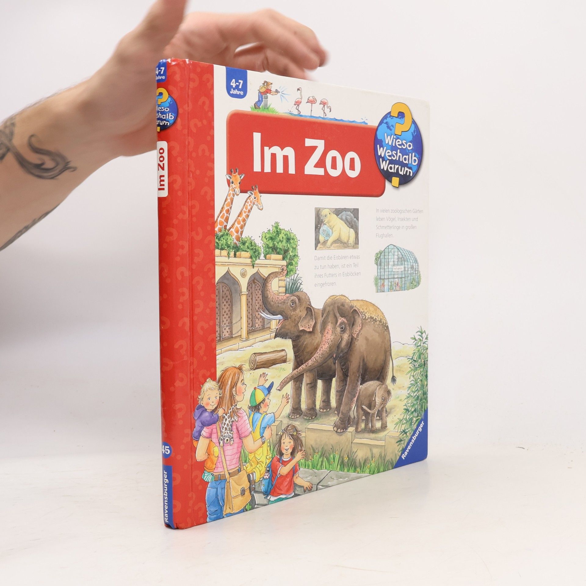 Im Zoo