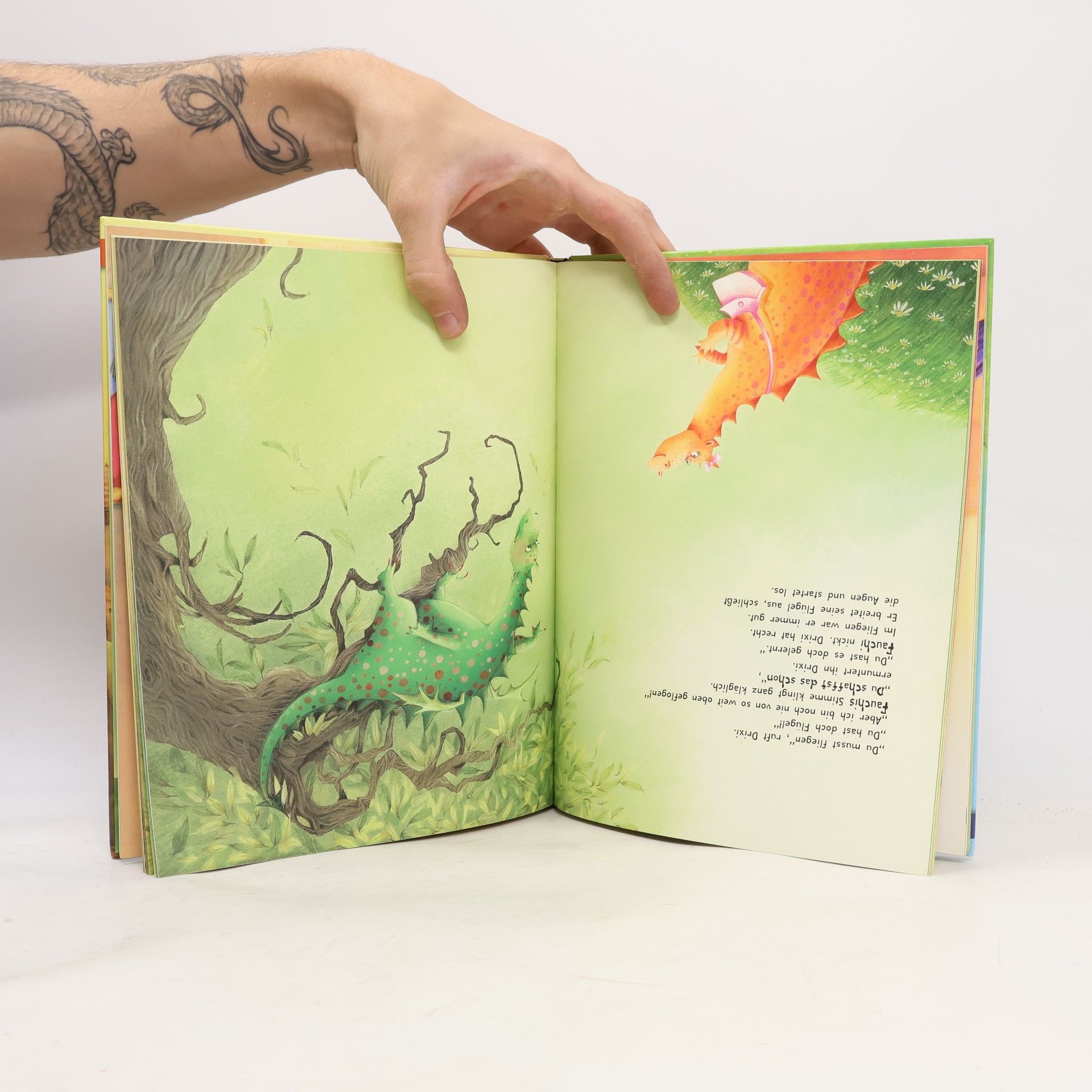 Patricia Mennen Der kleine Angstdrache