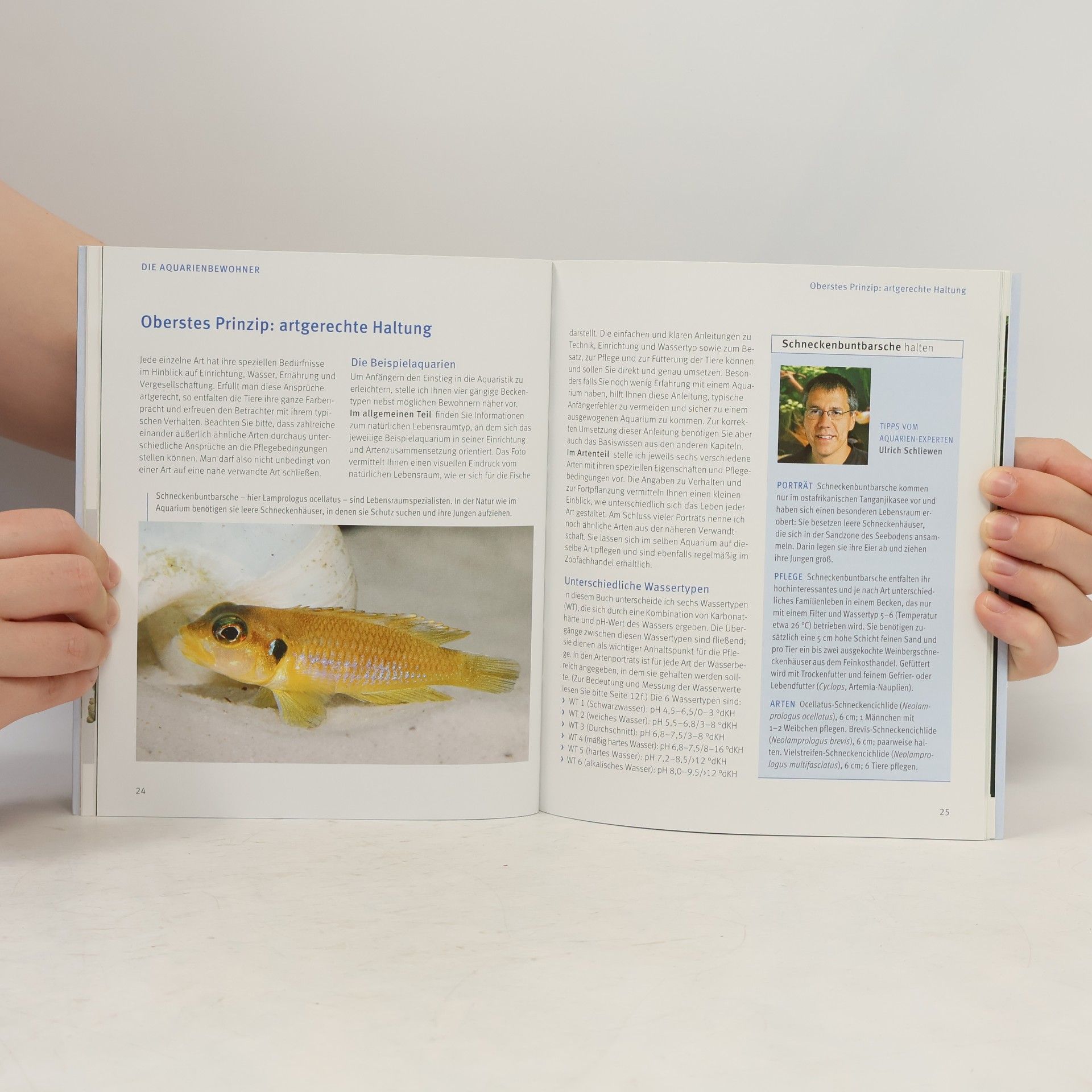 Ulrich K. Schliewen Kleine Aquarien