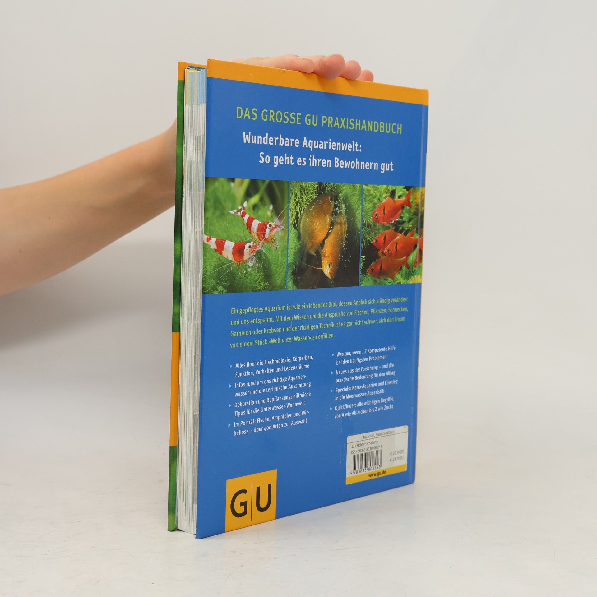 Ulrich K. Schliewen Das große GU Praxishandbuch Aquarium