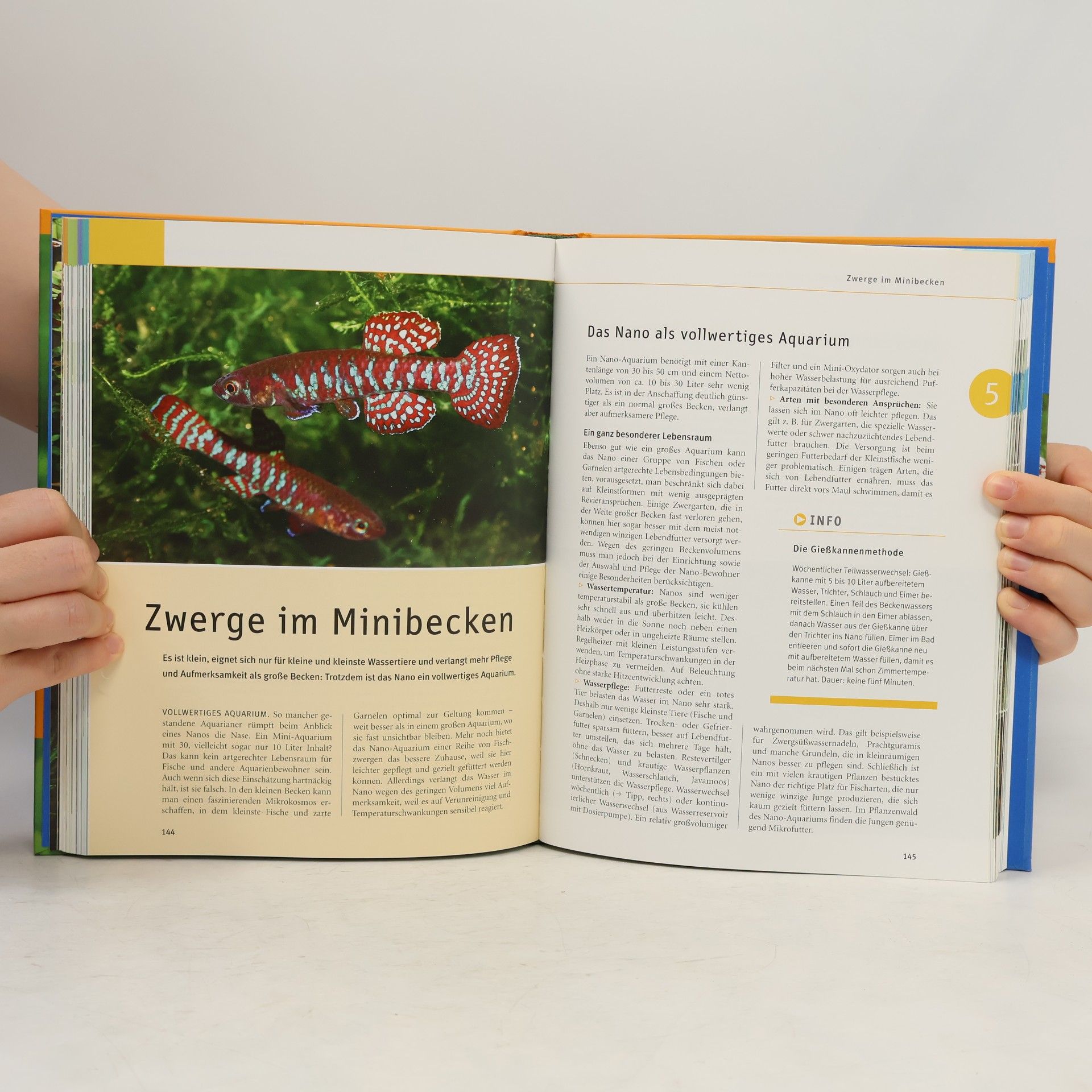 Ulrich K. Schliewen Das große GU Praxishandbuch Aquarium
