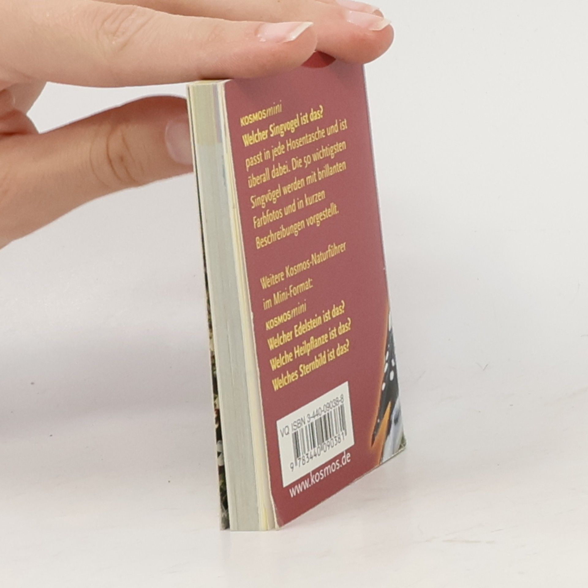 Autorenkollektiv Welcher Singvogel ist das?