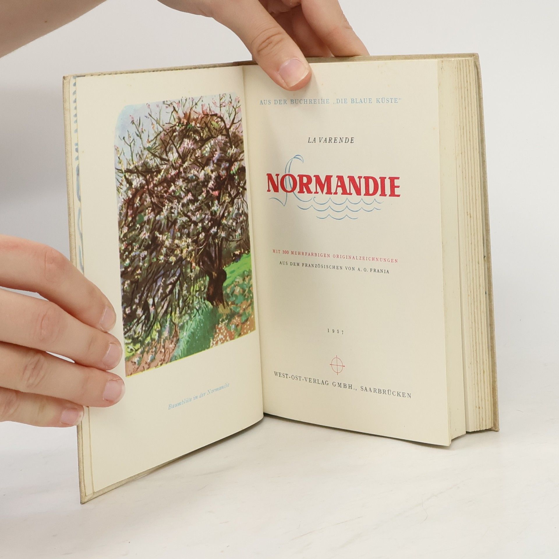 kolektiv Die Normandie