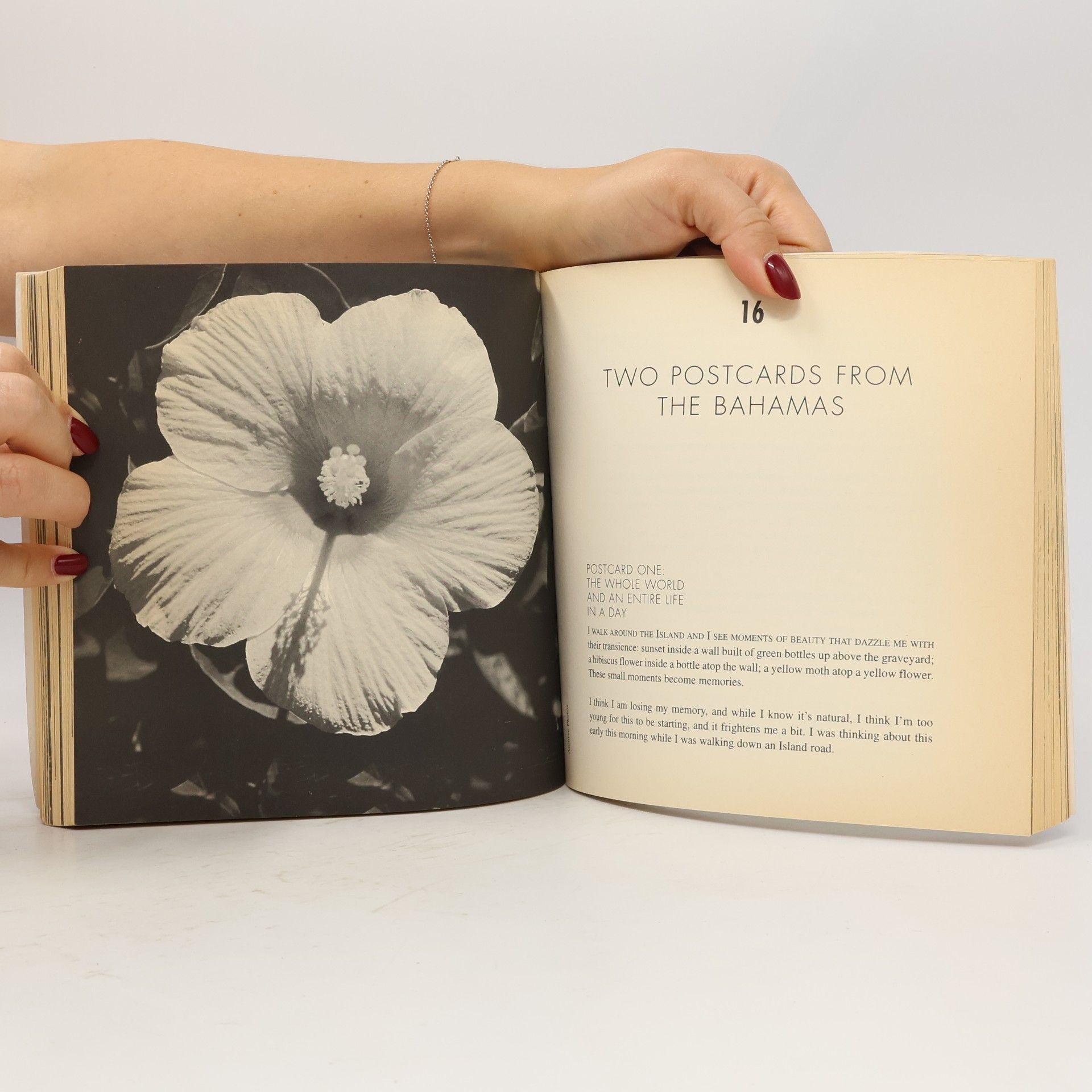 Douglas Coupland Polaroids from the Dead