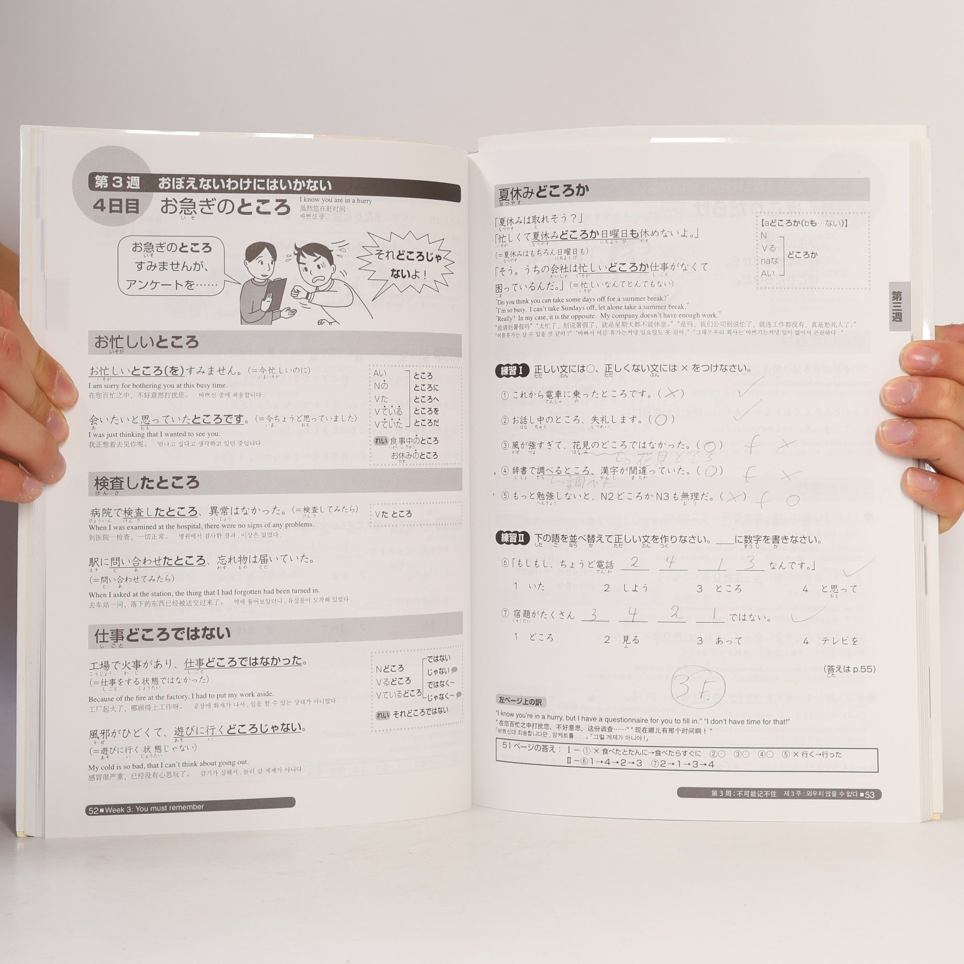 Noriko Matsumoto Nihongo sōmatome. N2 Bunpō : "Nihongo Nōryoku Shiken" taisaku