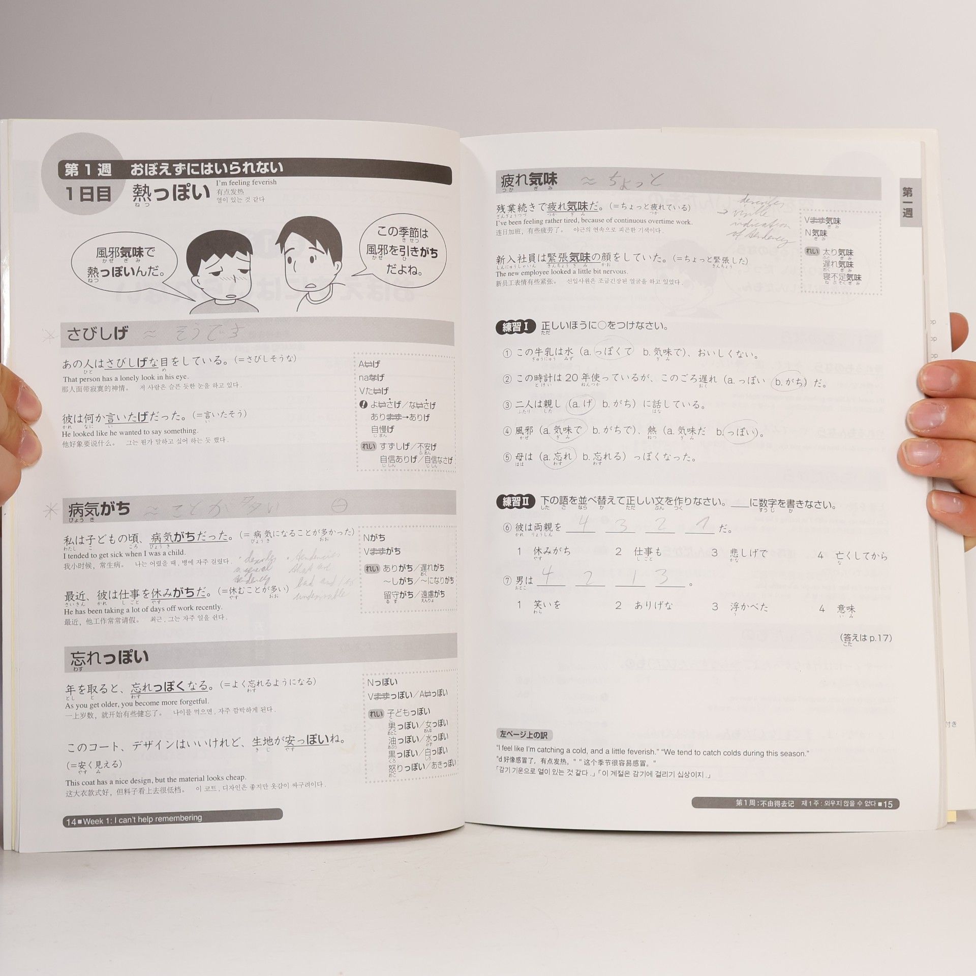 Noriko Matsumoto Nihongo sōmatome. N2 Bunpō : "Nihongo Nōryoku Shiken" taisaku