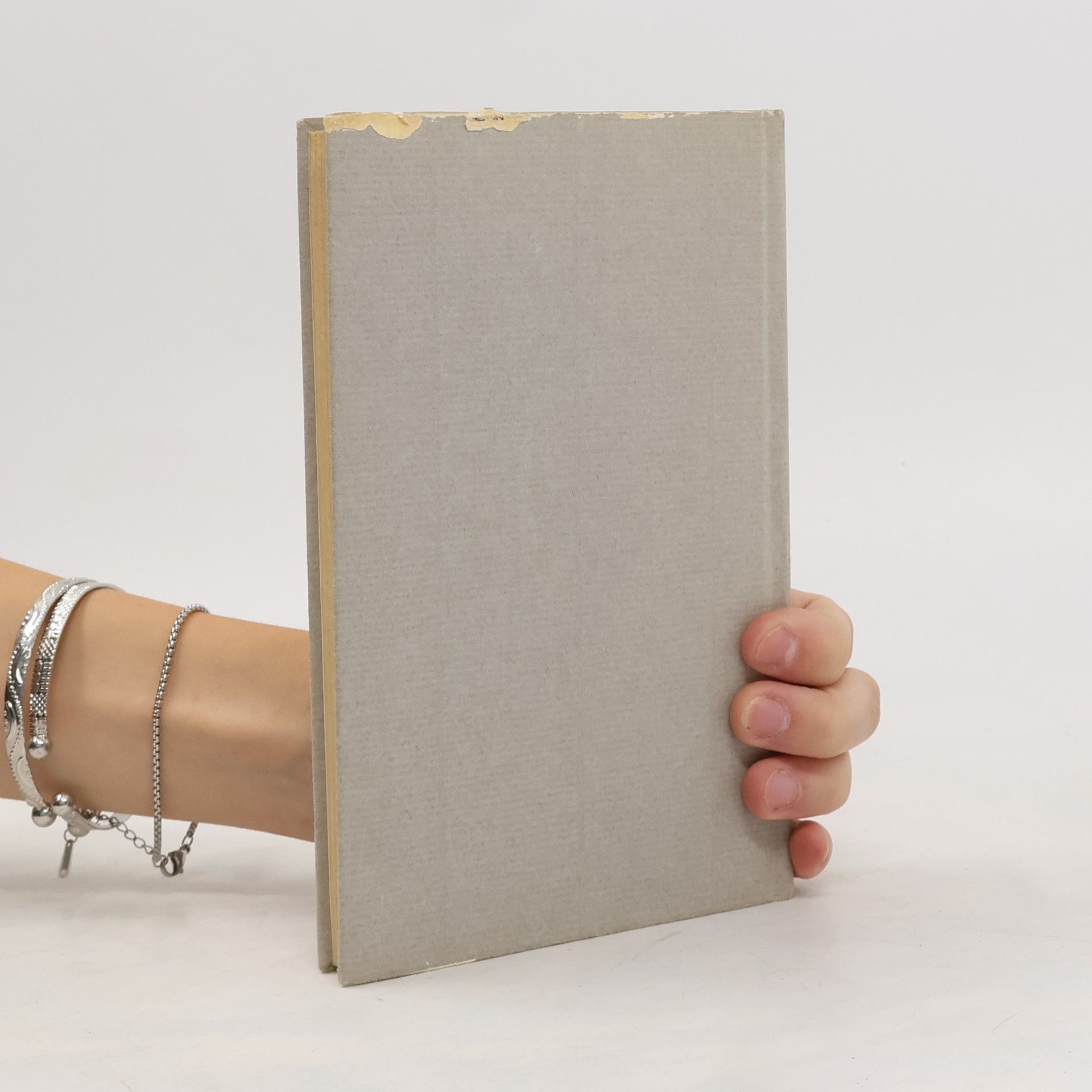 Ezra Pound ABC des Lesens