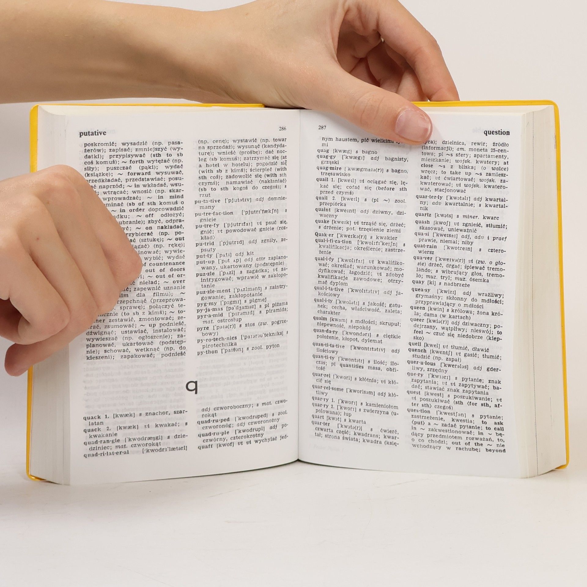 Autorenkollektiv Langenscheidt's Pocket Polish Dictionary