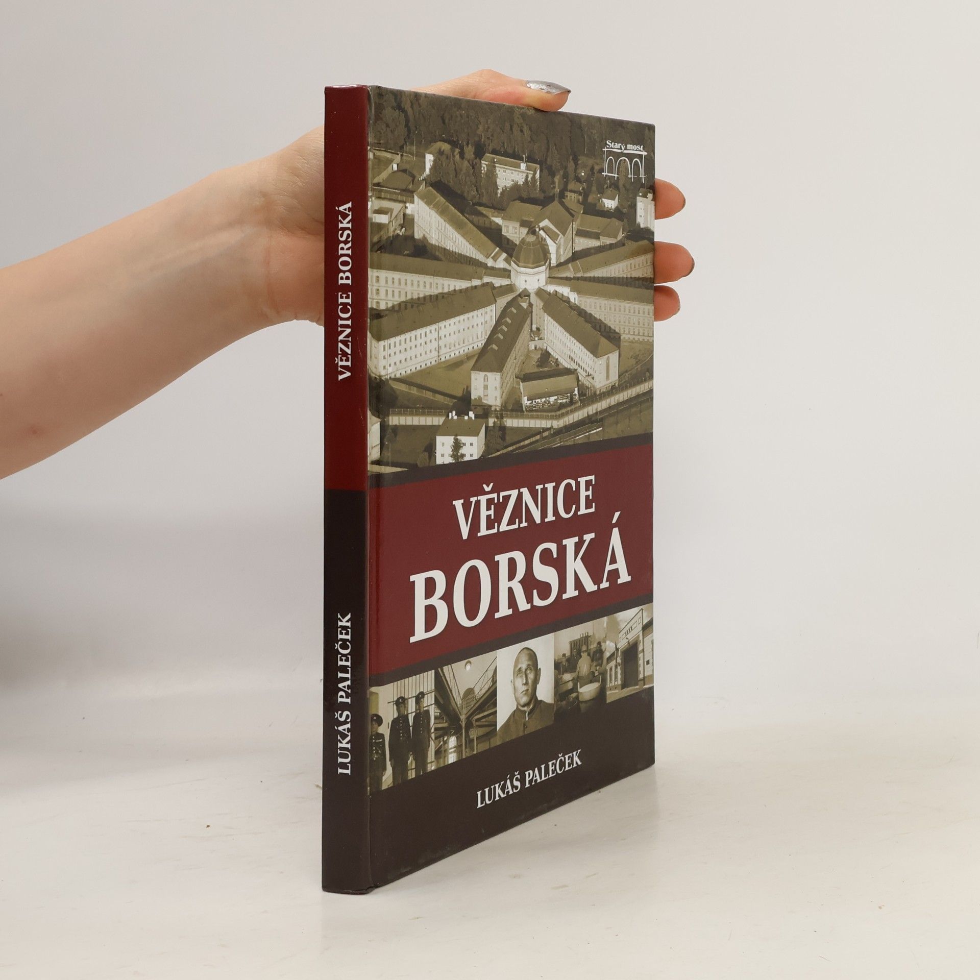 Lukáš Paleček Věznice borská