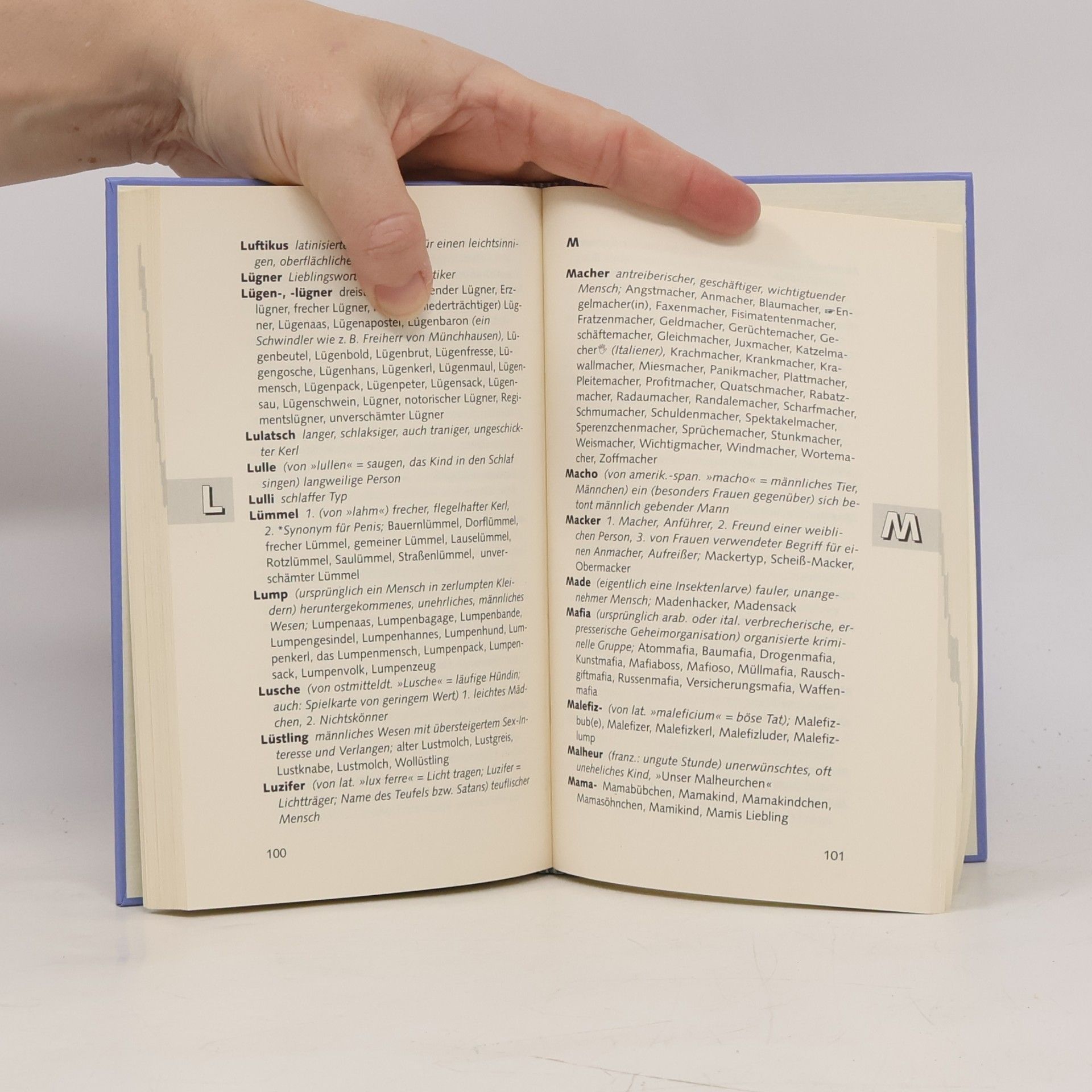 Sebastian Freud Handbuch der Beschimpfungen