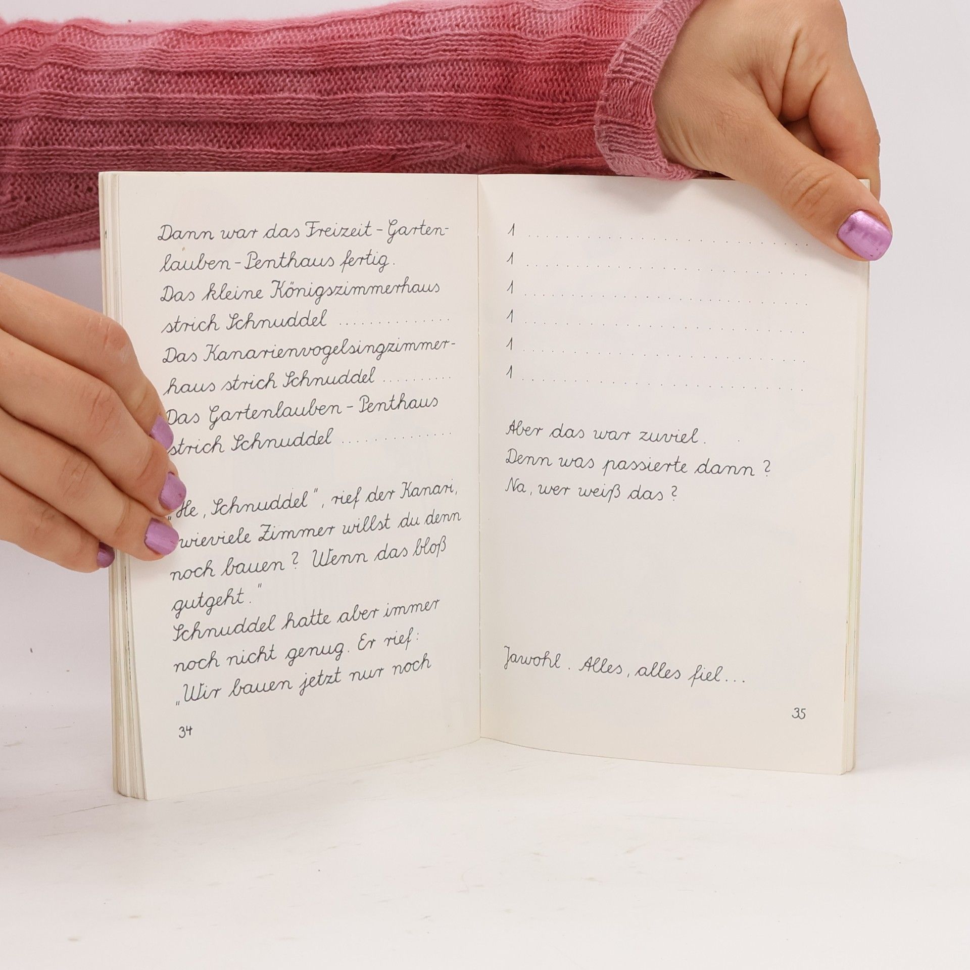 Janosch Schnuddelbuddel baut ein Haus und Der Wandertag nach Paderborn. Schreibschrift