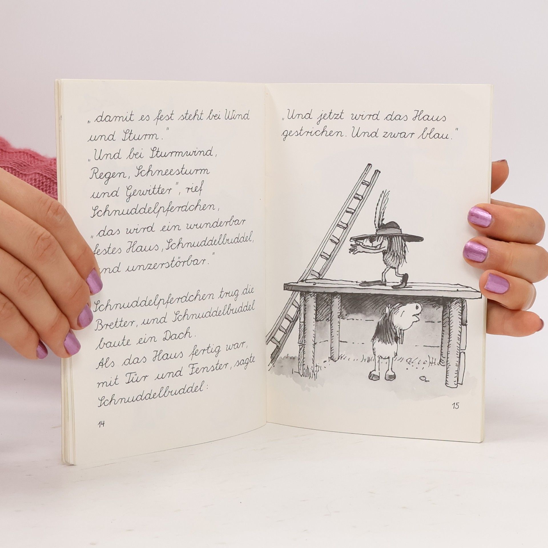 Janosch Schnuddelbuddel baut ein Haus und Der Wandertag nach Paderborn. Schreibschrift
