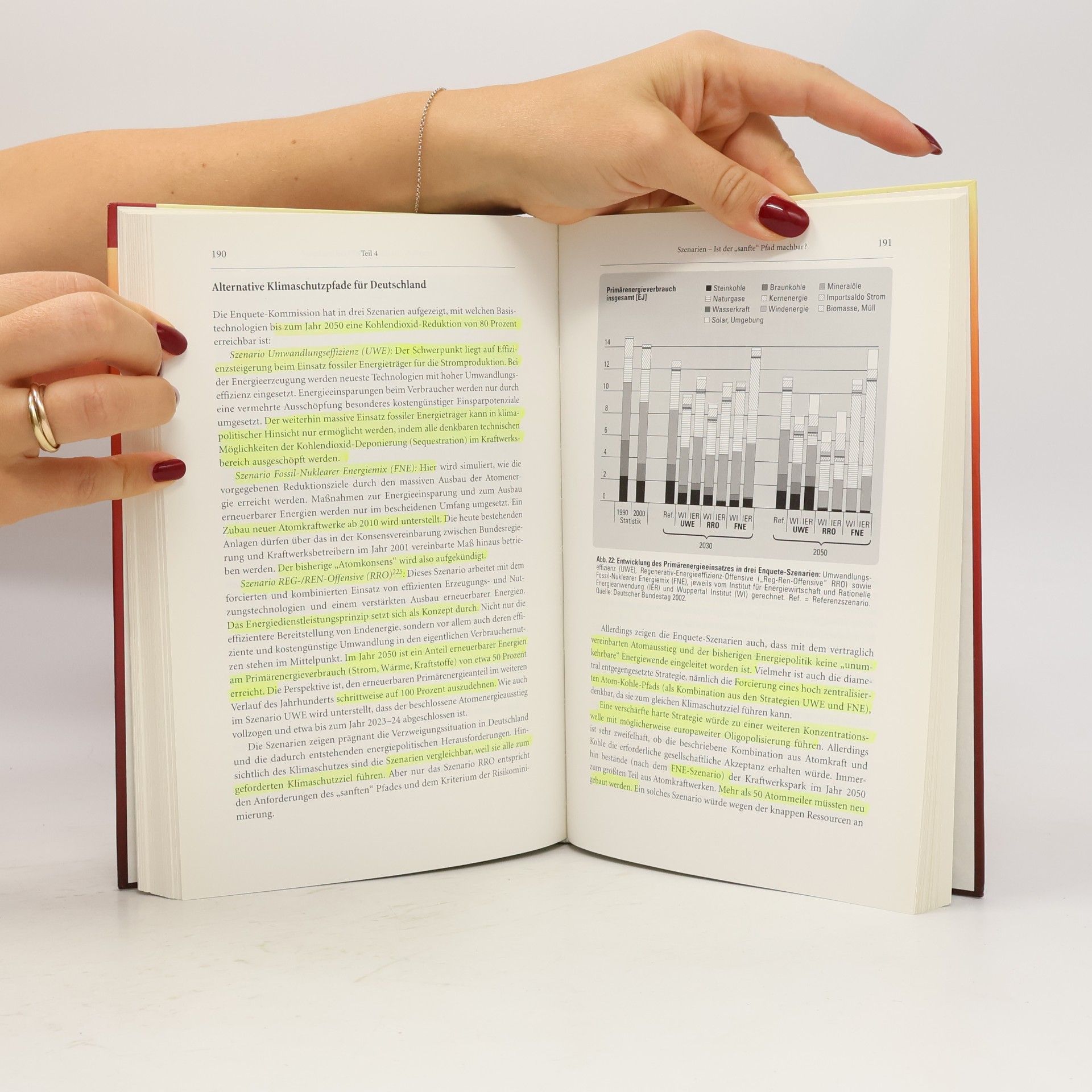 Peter Hennicke Weltmacht Energie