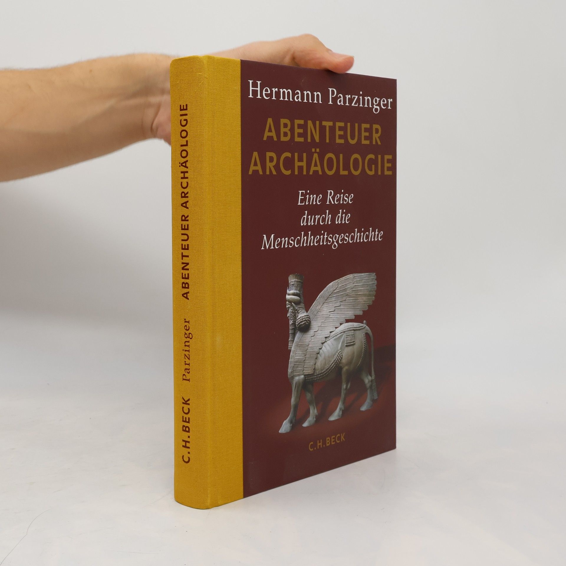 Hermann Parzinger Abenteuer Archäologie