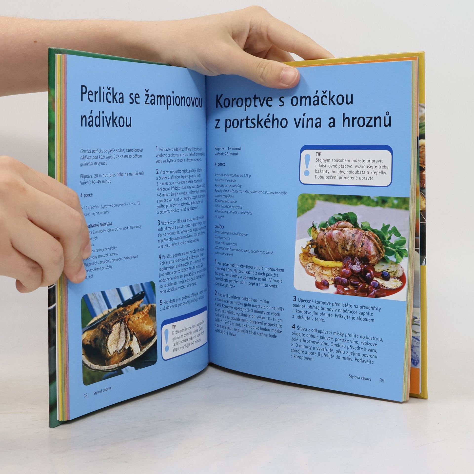 Autorenkollektiv Ottova kuchařka. Grilování
