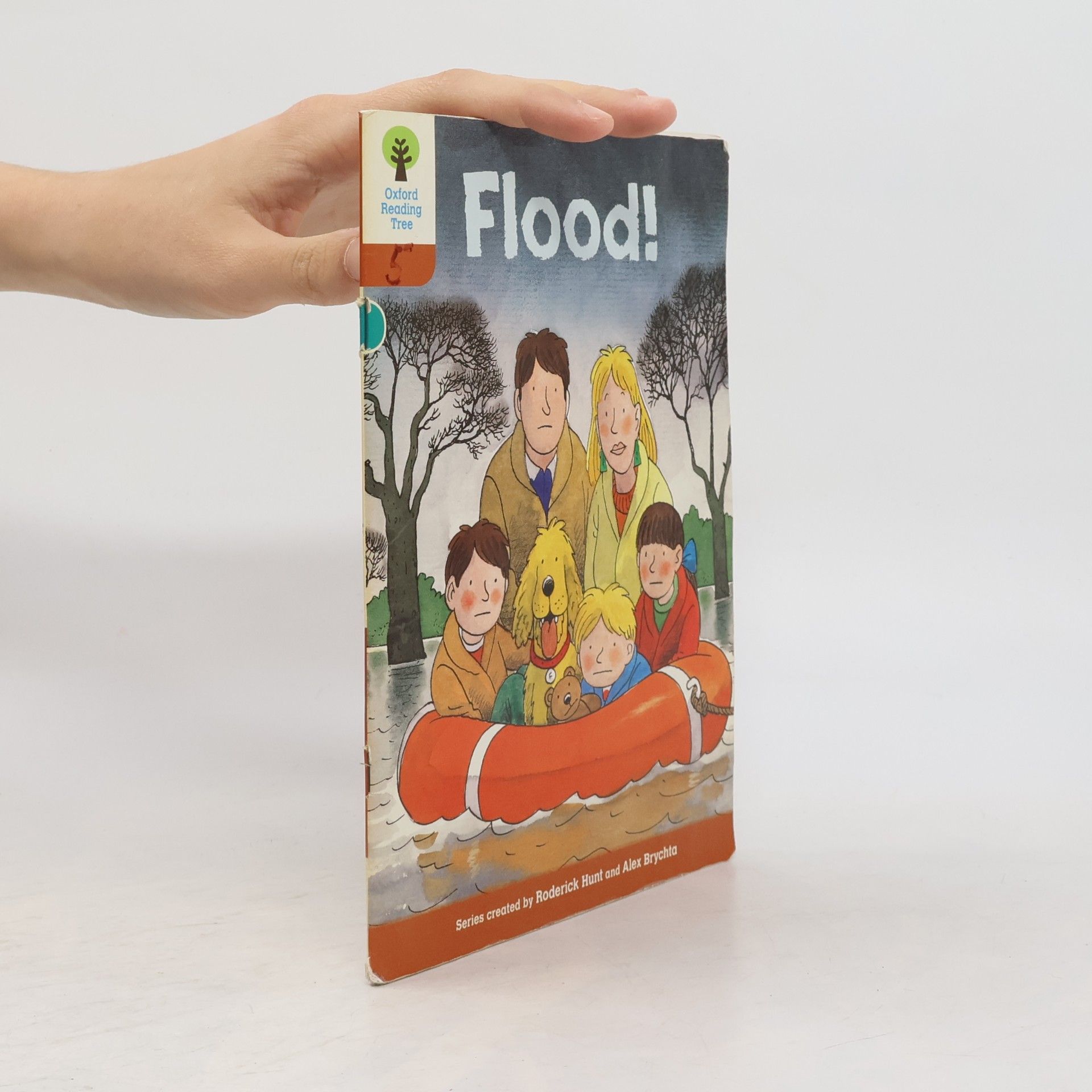 Roderick Hunt Oxford Reading Tree: Level 8: More Stories: Flood!