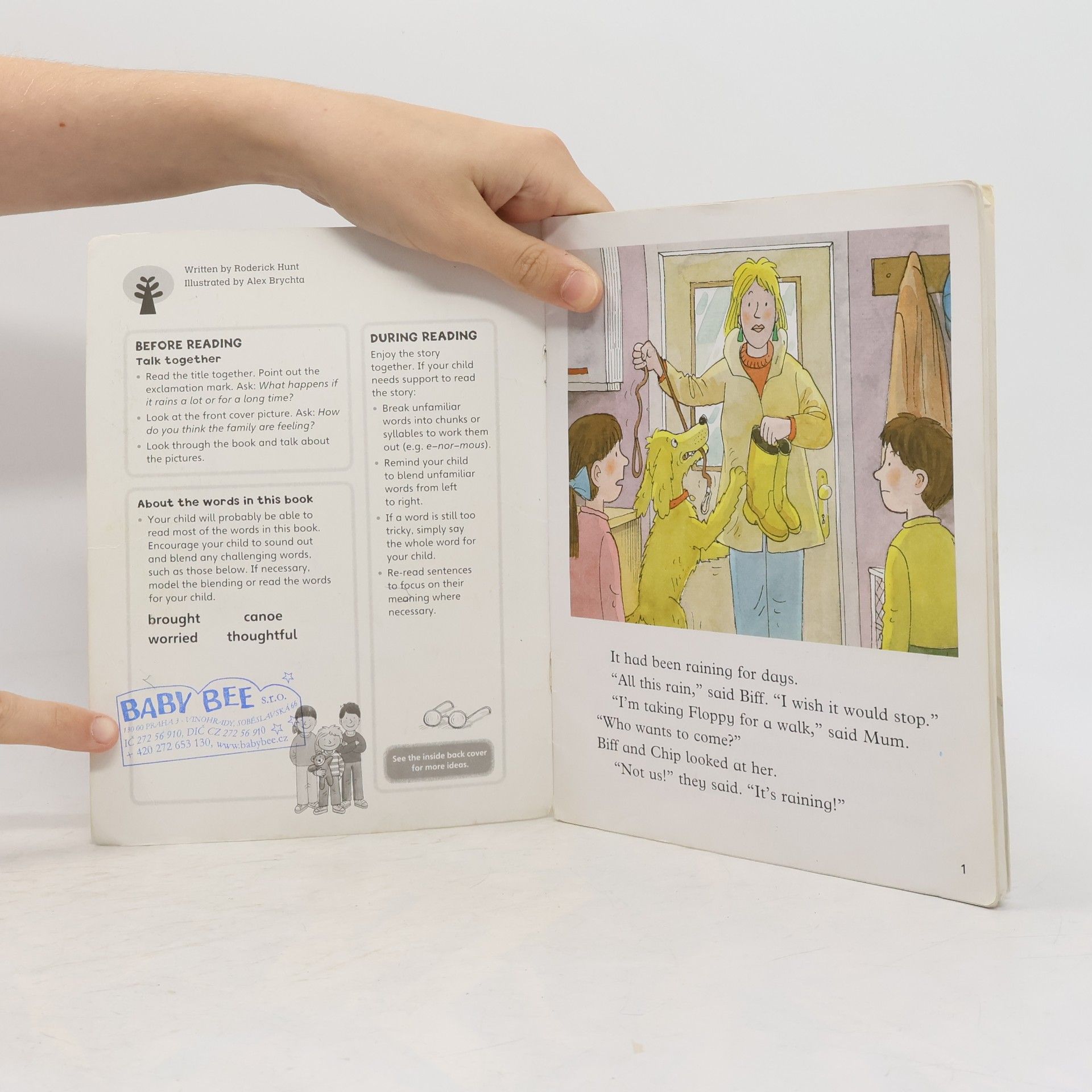 Roderick Hunt Oxford Reading Tree: Level 8: More Stories: Flood!