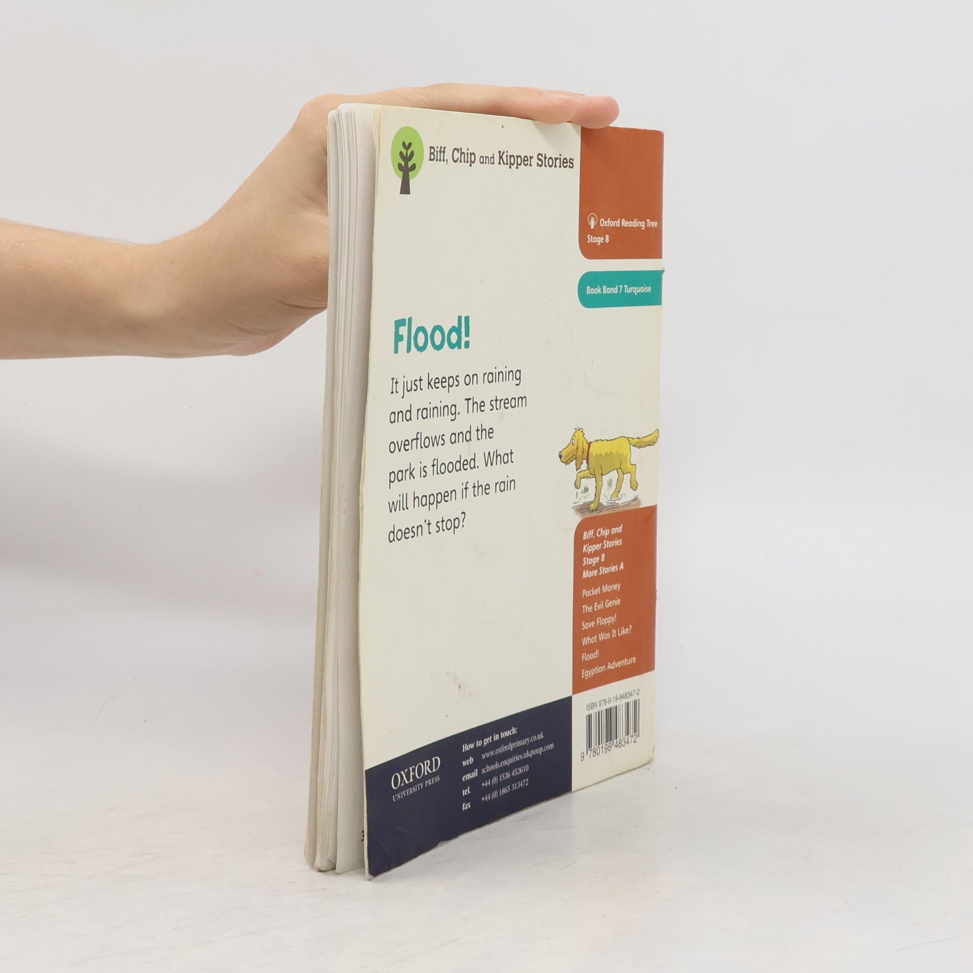 Roderick Hunt Oxford Reading Tree: Level 8: More Stories: Flood!