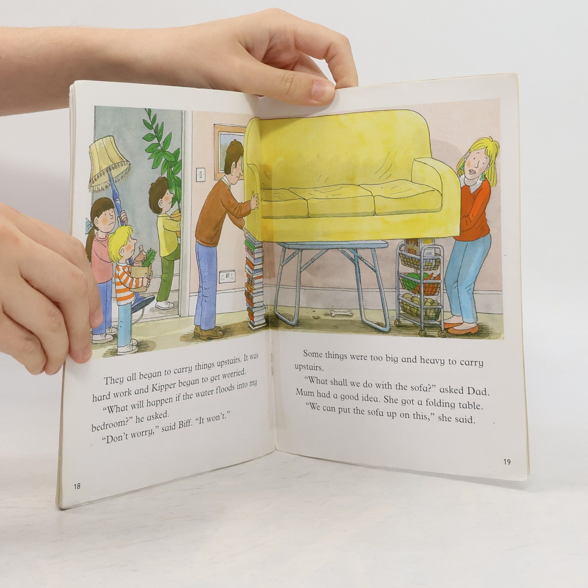 Roderick Hunt Oxford Reading Tree: Level 8: More Stories: Flood!