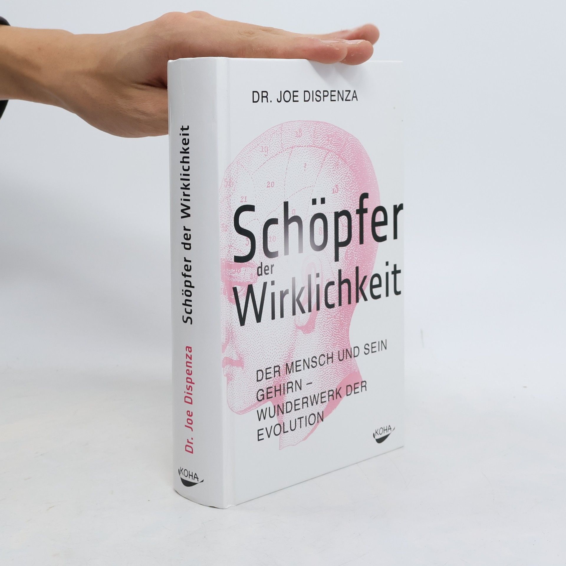 Joe Dispenza Schöpfer der Wirklichkeit