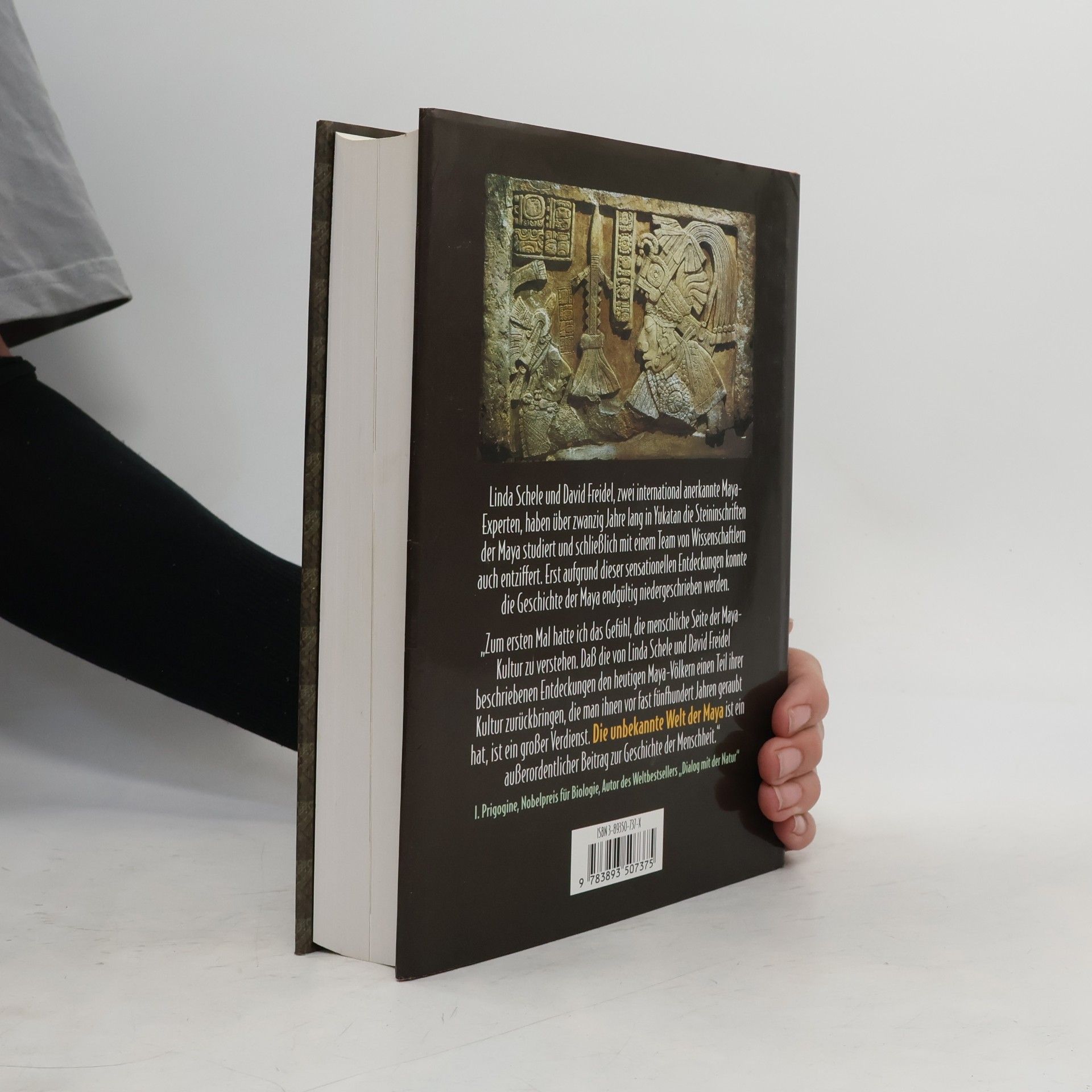 Linda Schele Die unbekannte Welt der Maya