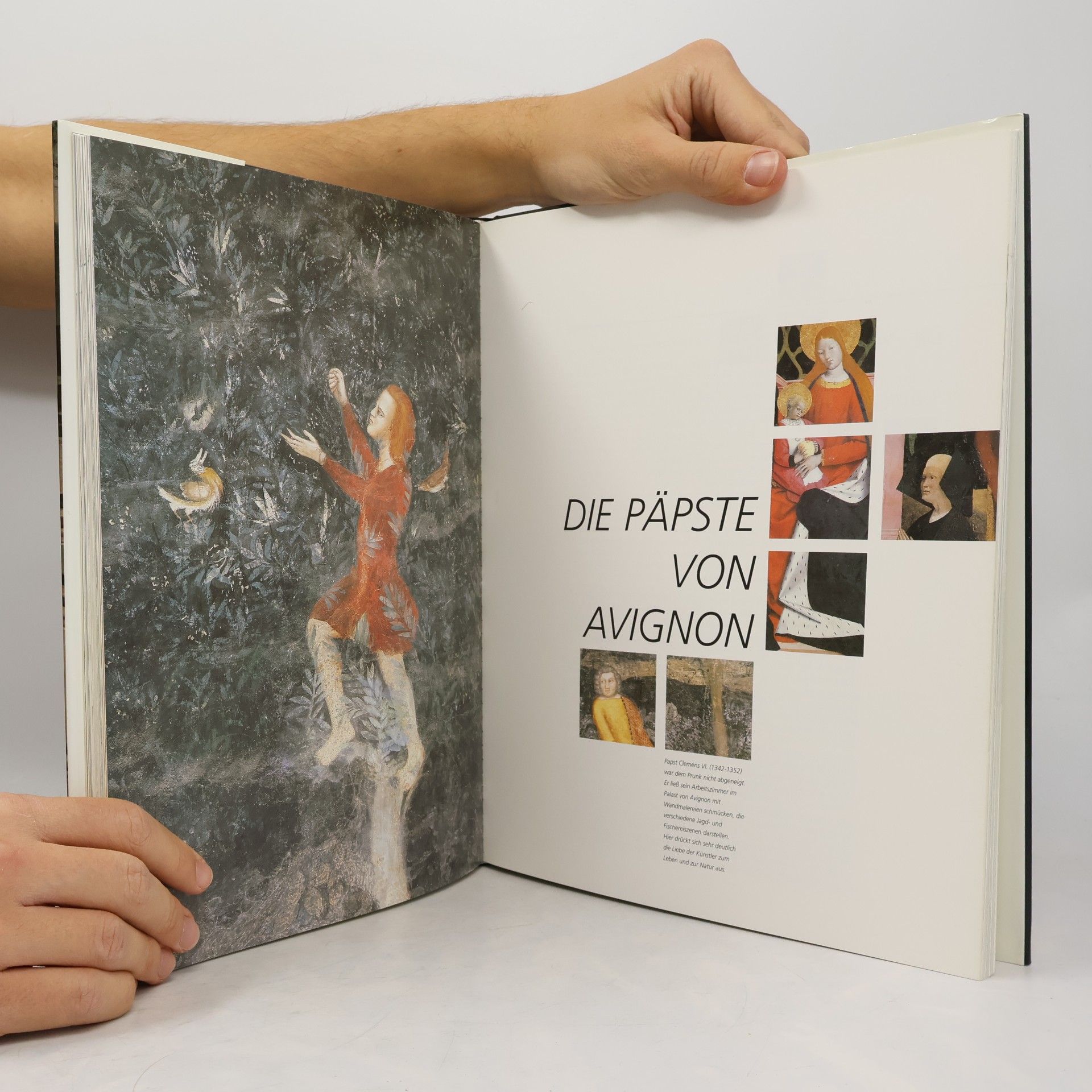 Hervé Kergall Gotische Kathedralen und Kunstschätze in Frankreich
