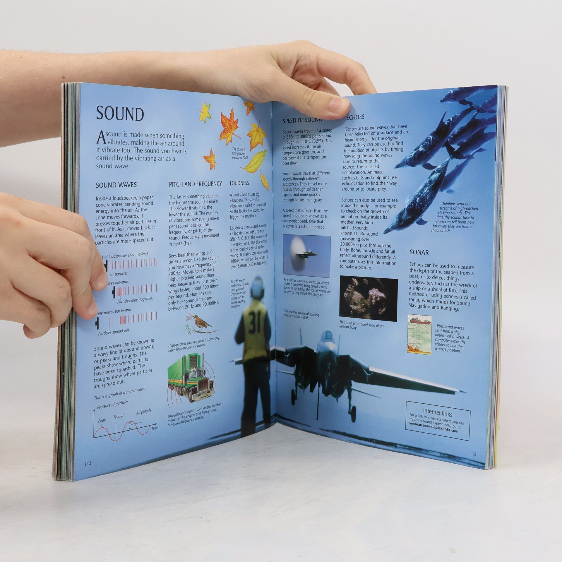 Jane Bingham The Usborne Book of Knowledge