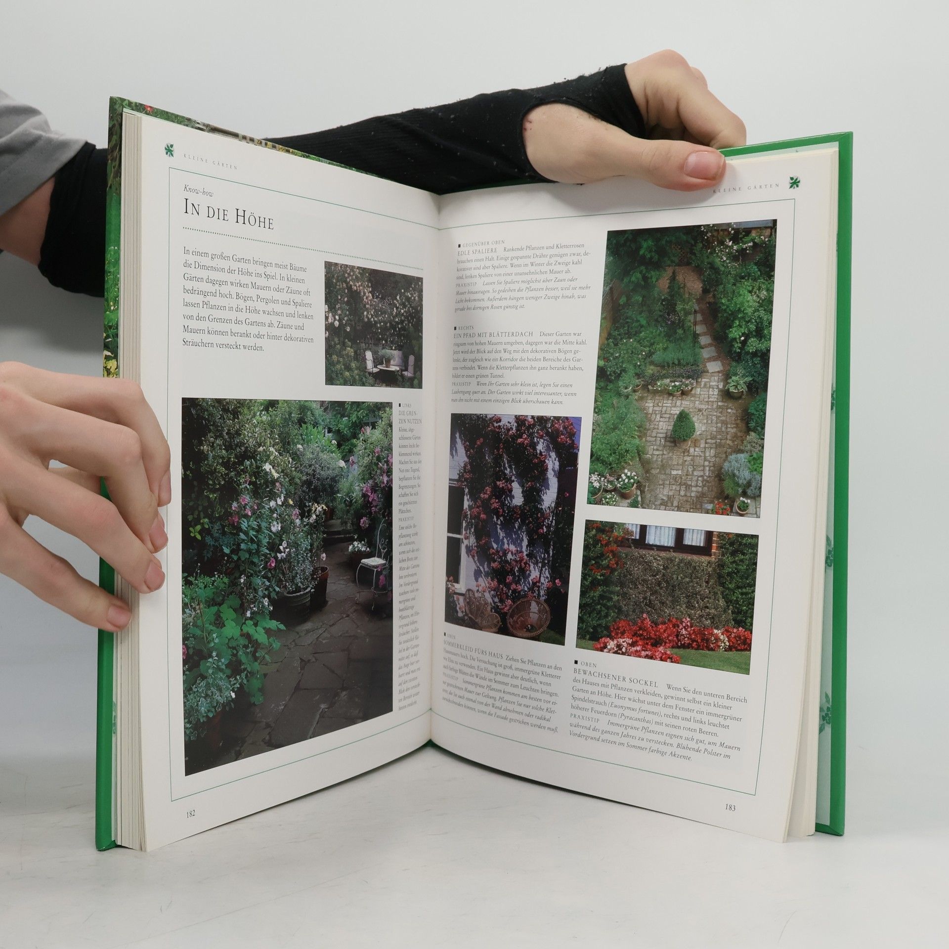 Peter McHoy Das große Buch der Gartenplanung
