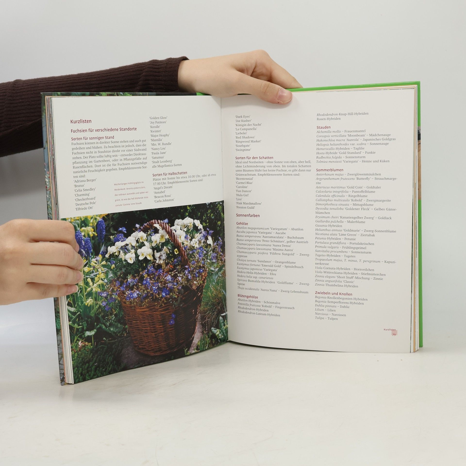 Ellen Fischer Das Topfgartenbuch