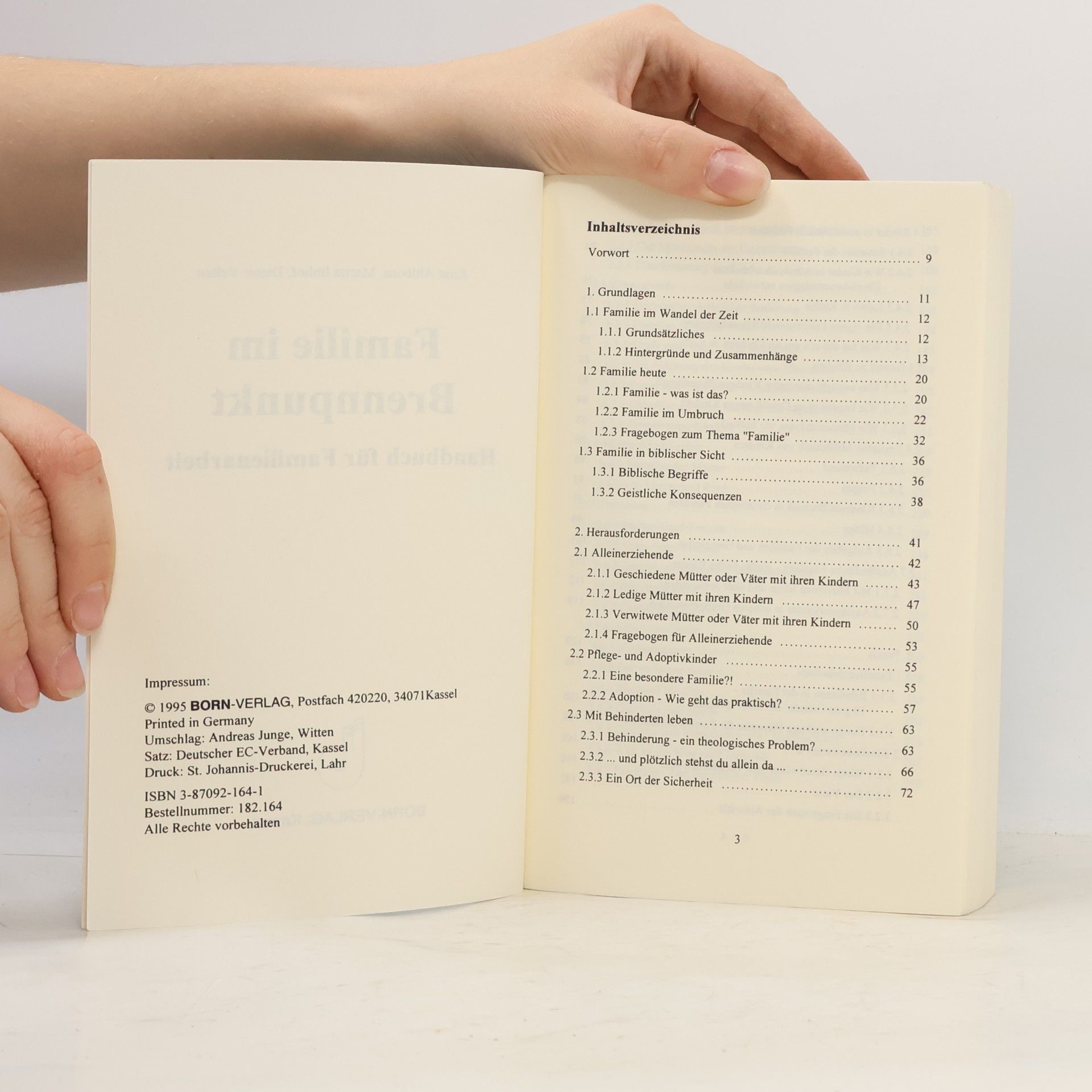 Knut Ahlborn Familie im Brennpunkt. Handbuch für Familienarbeit.