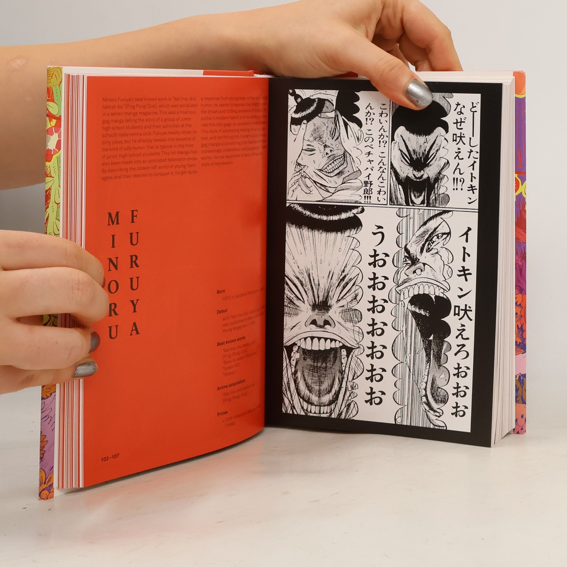 Julius Weidermann 100 Manga Artists